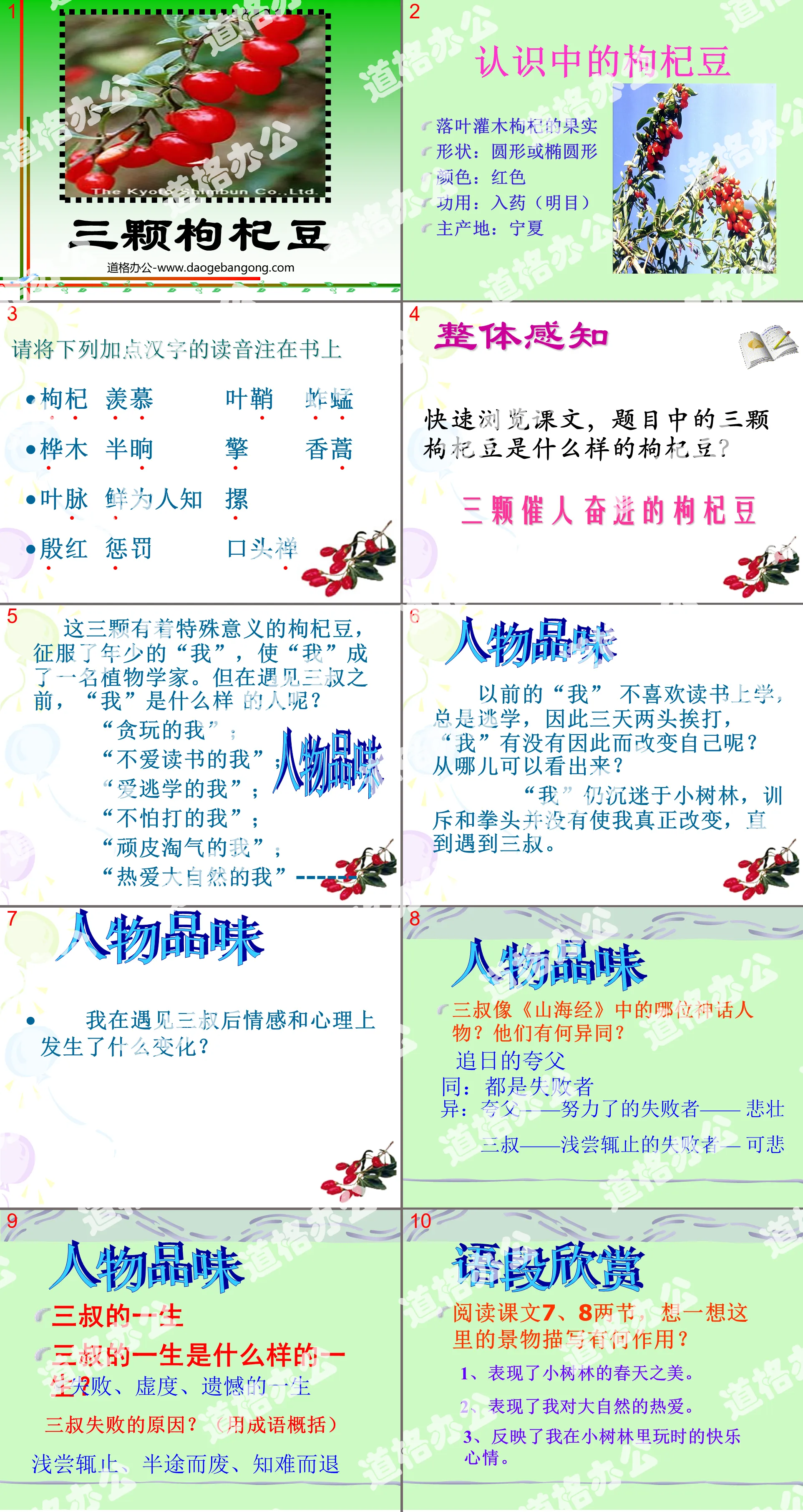 《三颗枸杞豆》PPT课件
