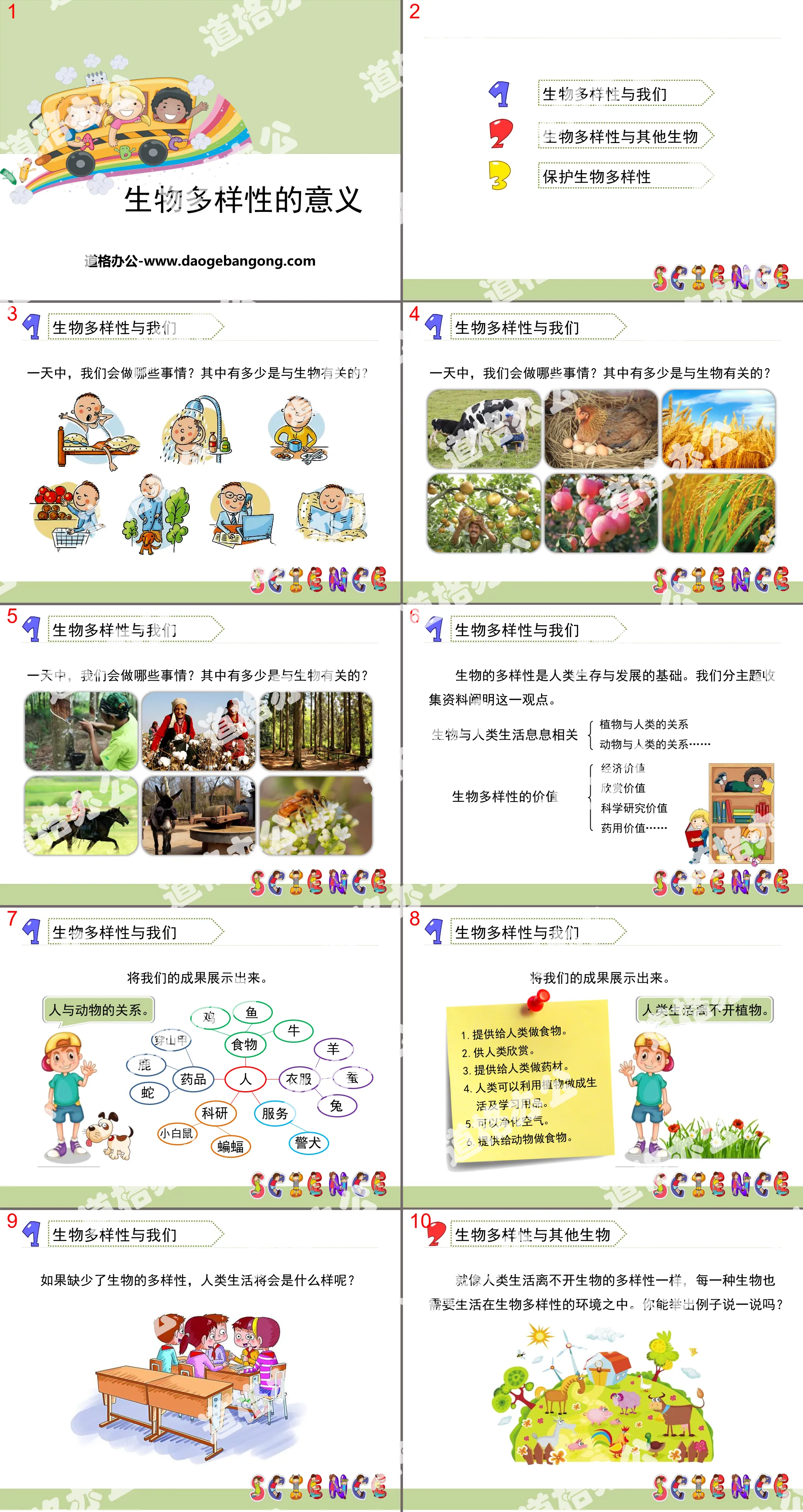 《生物多样性的意义》生物的多样性PPT
