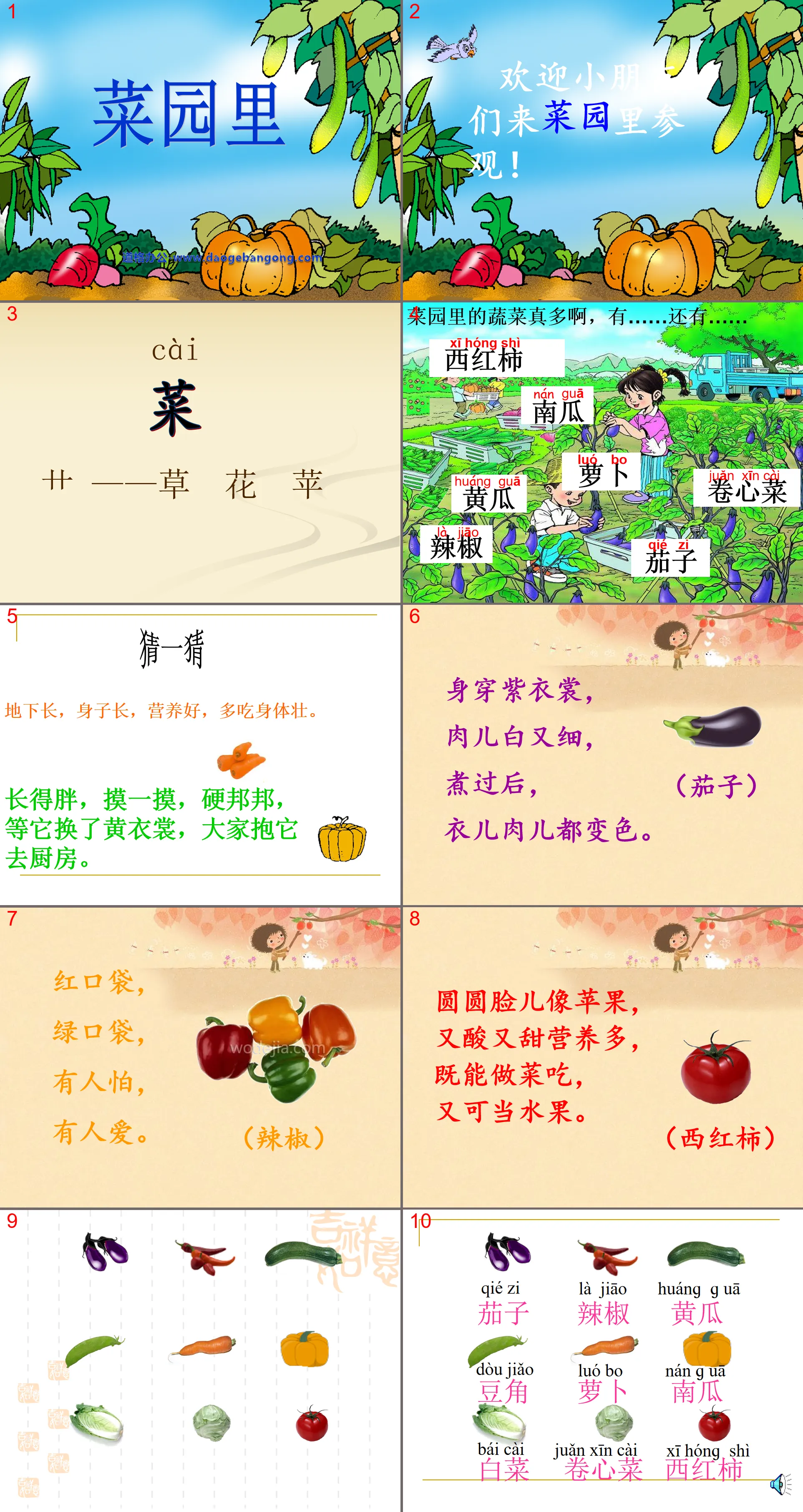 《菜园里》PPT课件4
