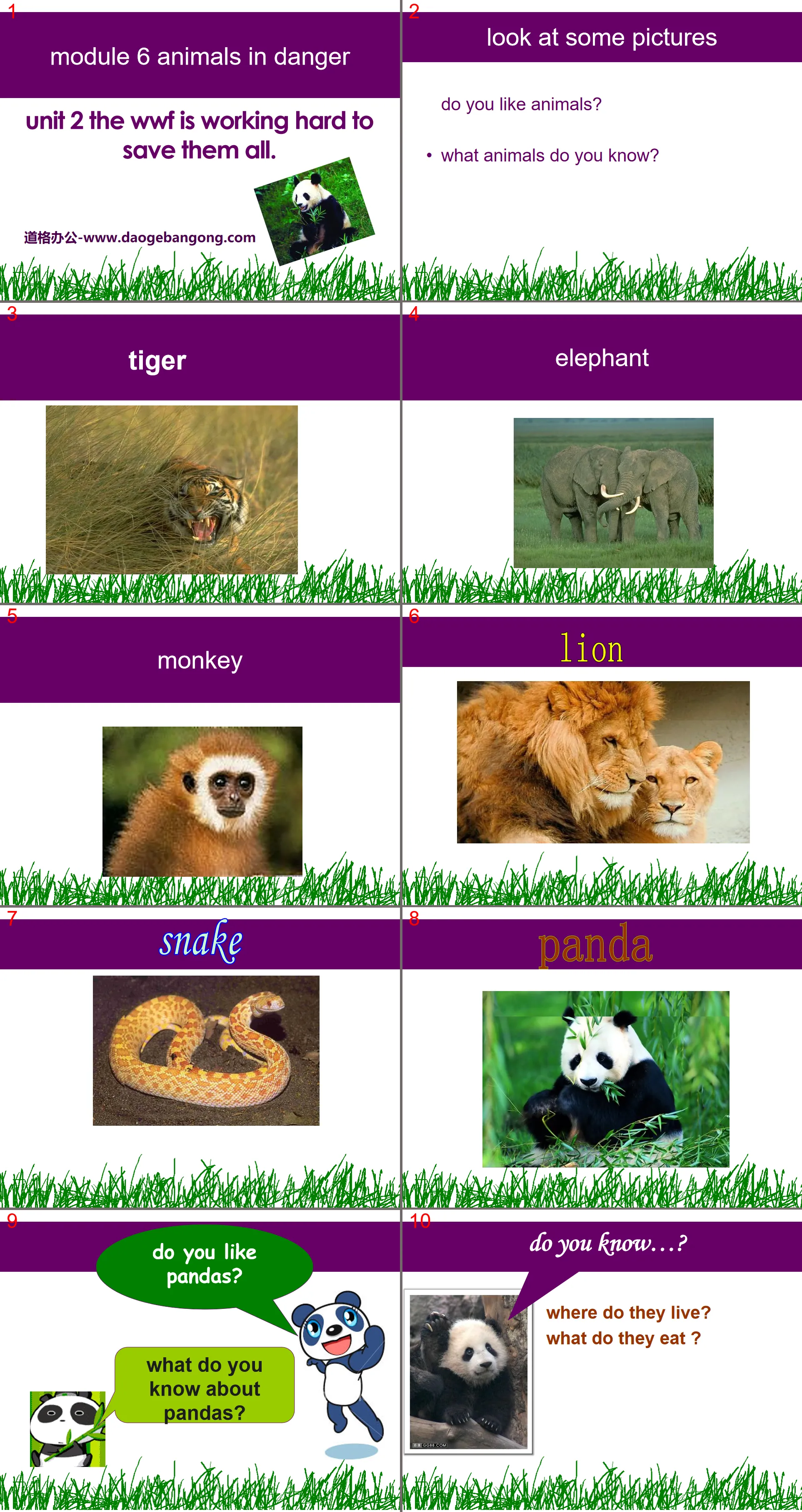 《The WWF is working hard to save them all》Animals in danger PPT课件4
