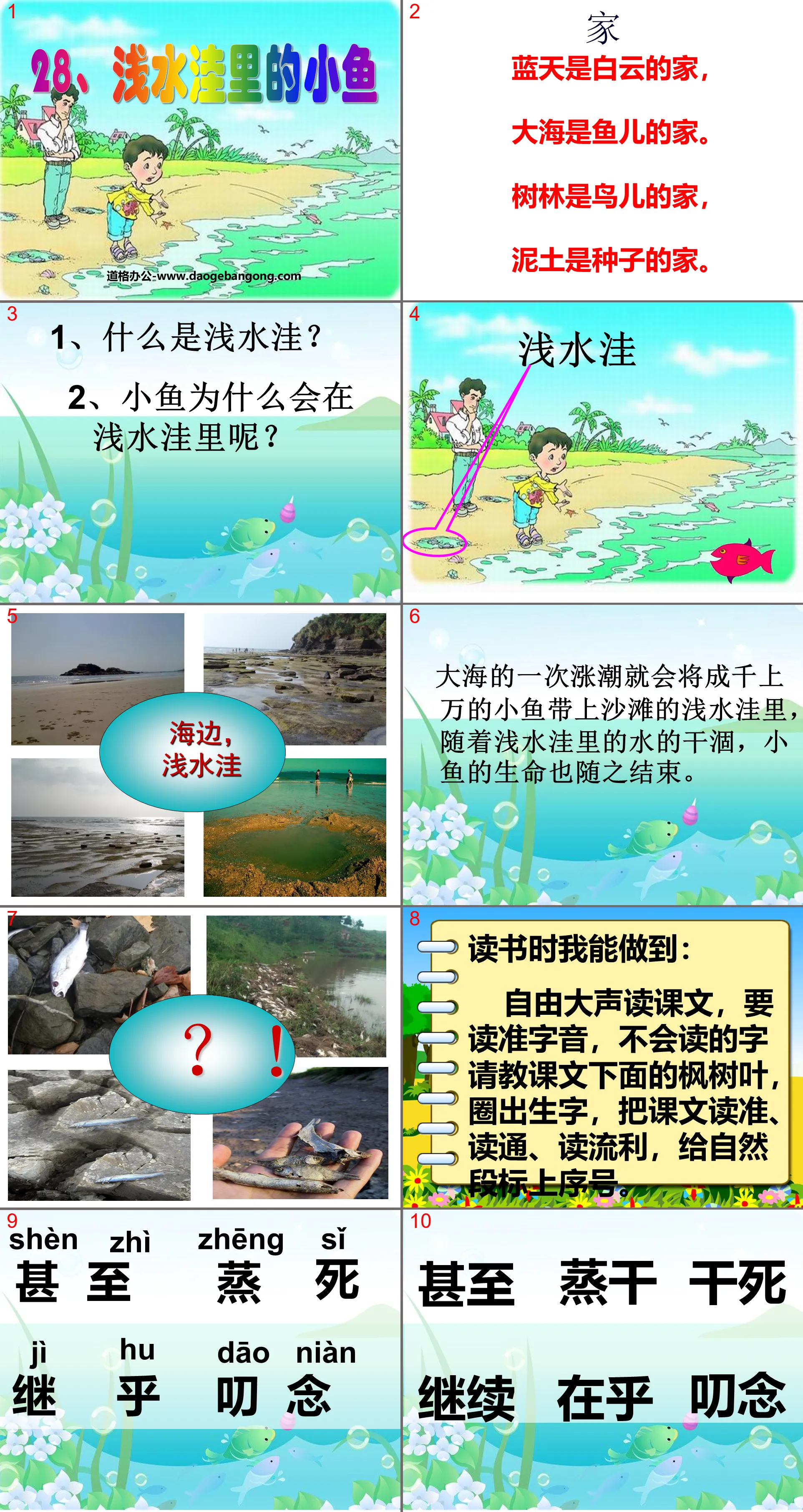 《淺水窪裡的小魚》PPT課件