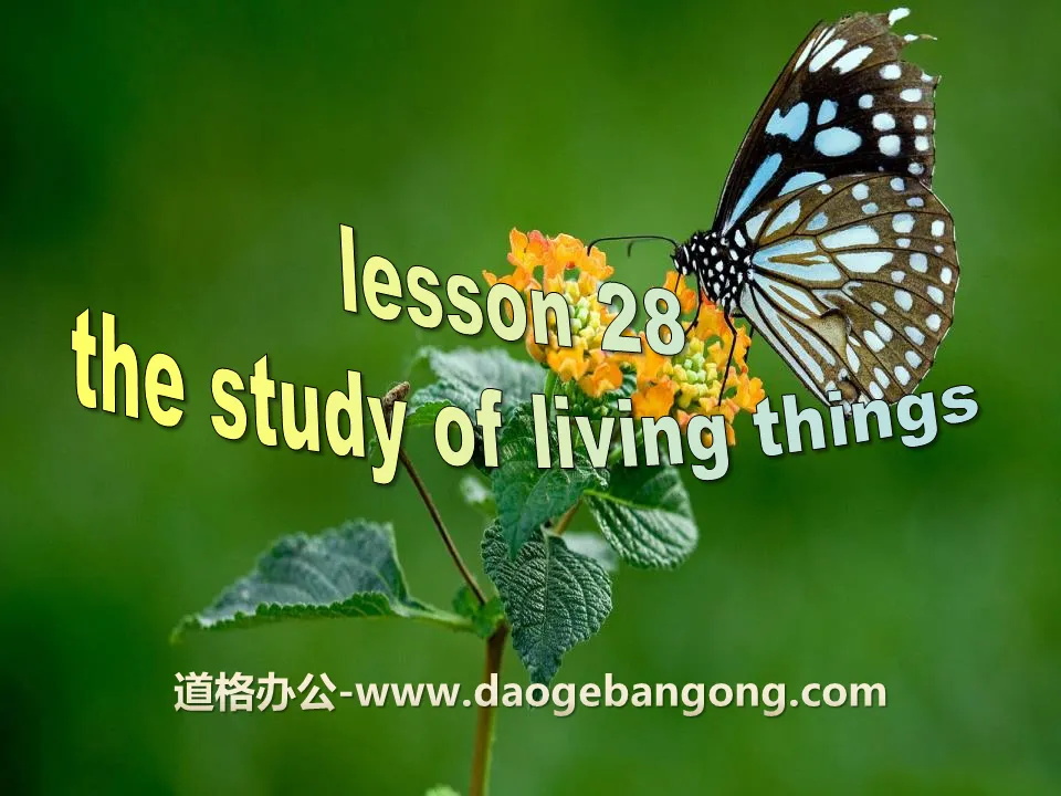 《The Study of Living Things》Look into Science! PPT免费下载
