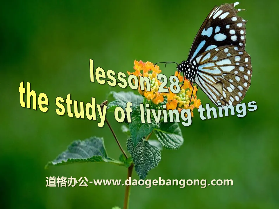 《The Study of Living Things》Look into Science! PPT免費下載