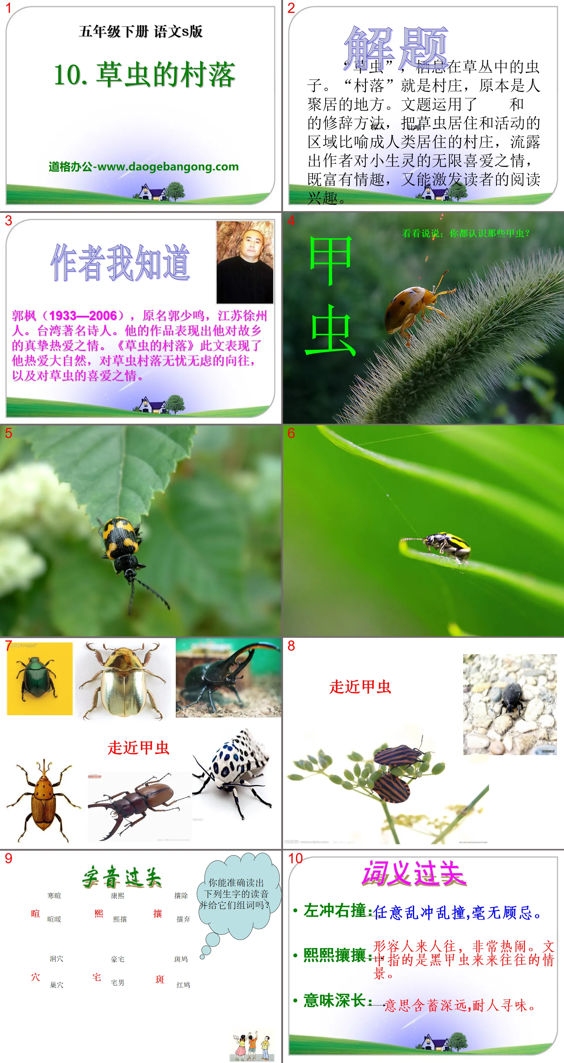 « Le village d'herbes et d'insectes » PPT Courseware 12