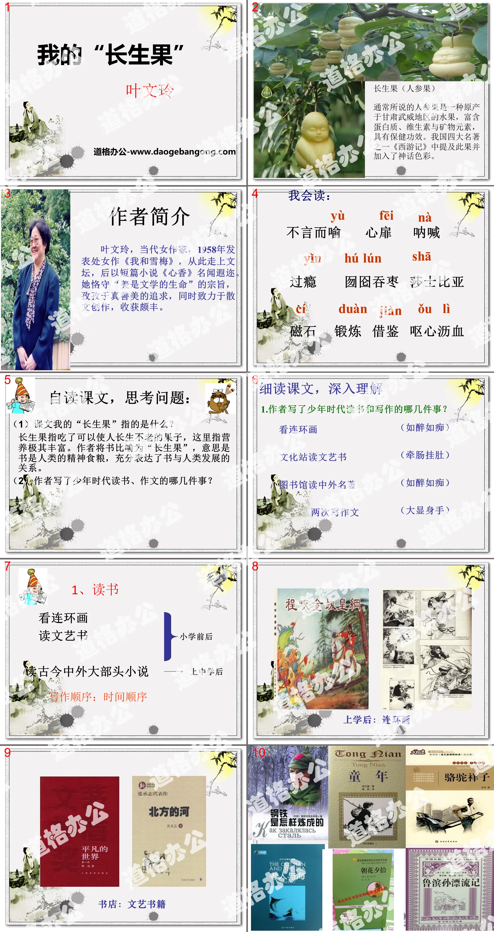 《我的“长生果”》PPT
