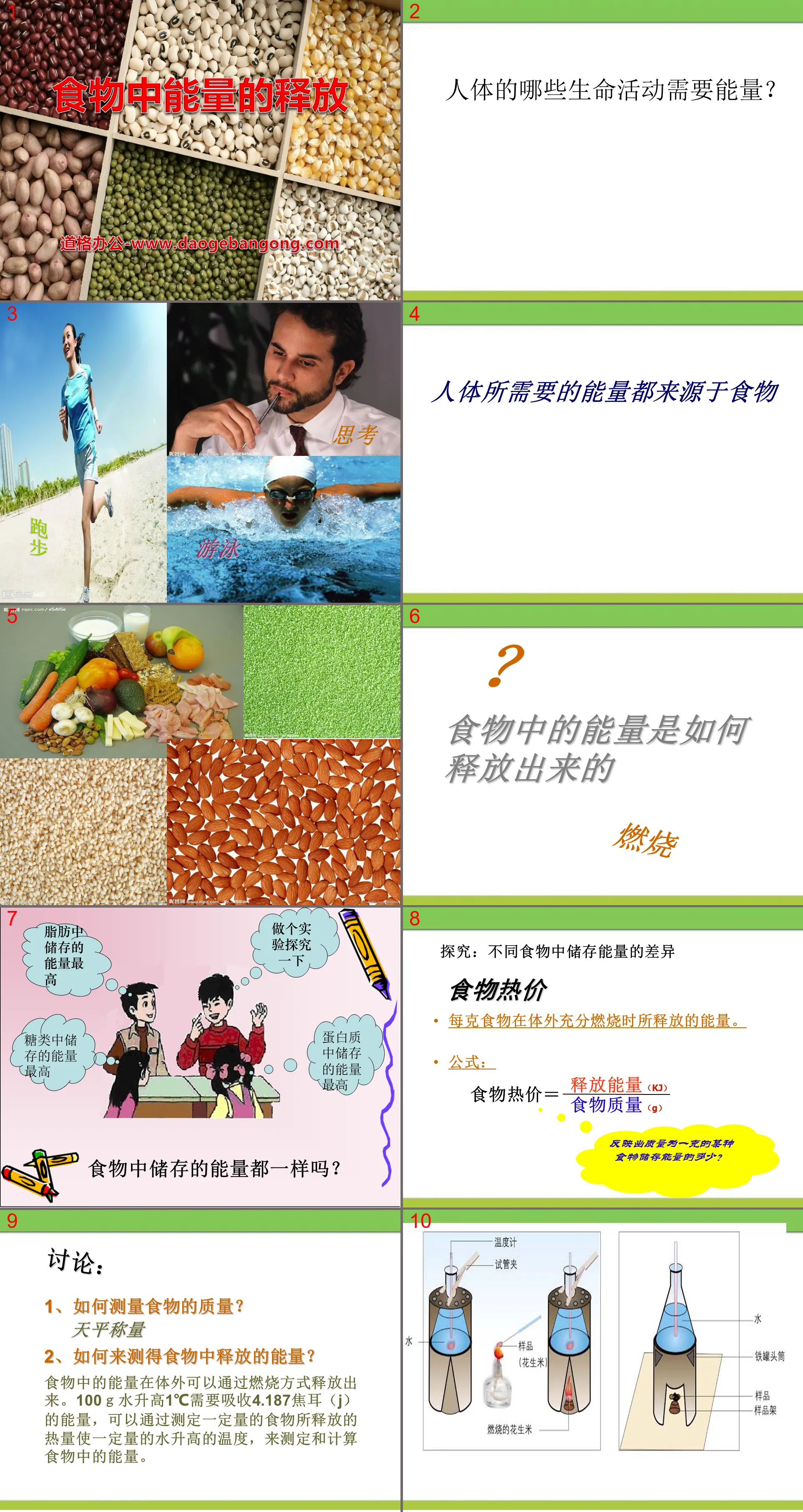 《食物中能量的釋放》PPT