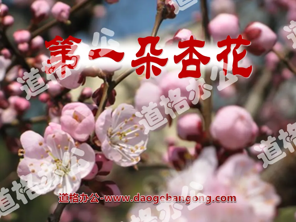 "The First Apricot Blossom" PPT Courseware 4