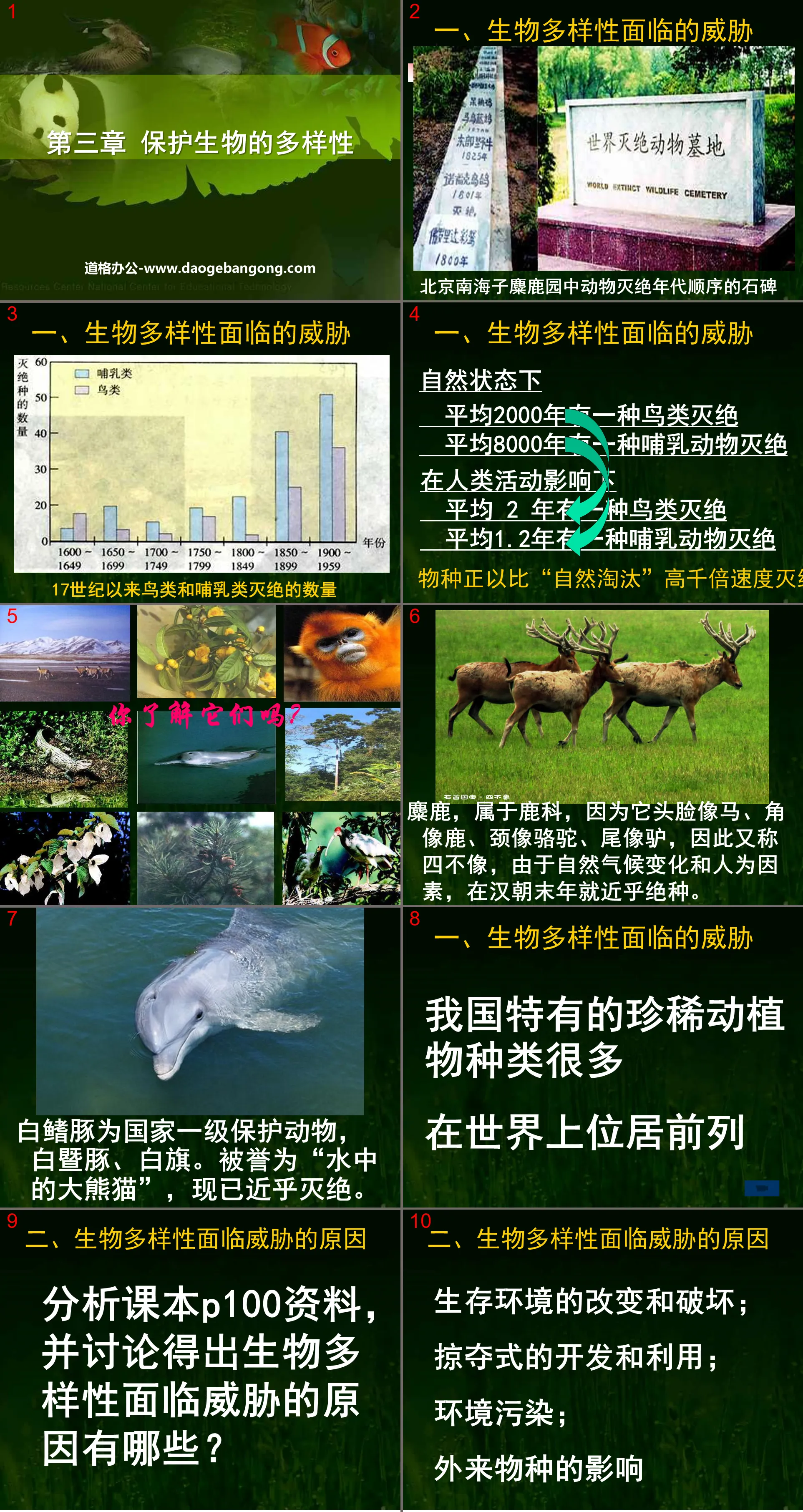 《保护生物的多样性》PPT课件2
