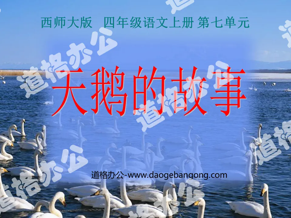 "The Story of the Swan" PPT courseware