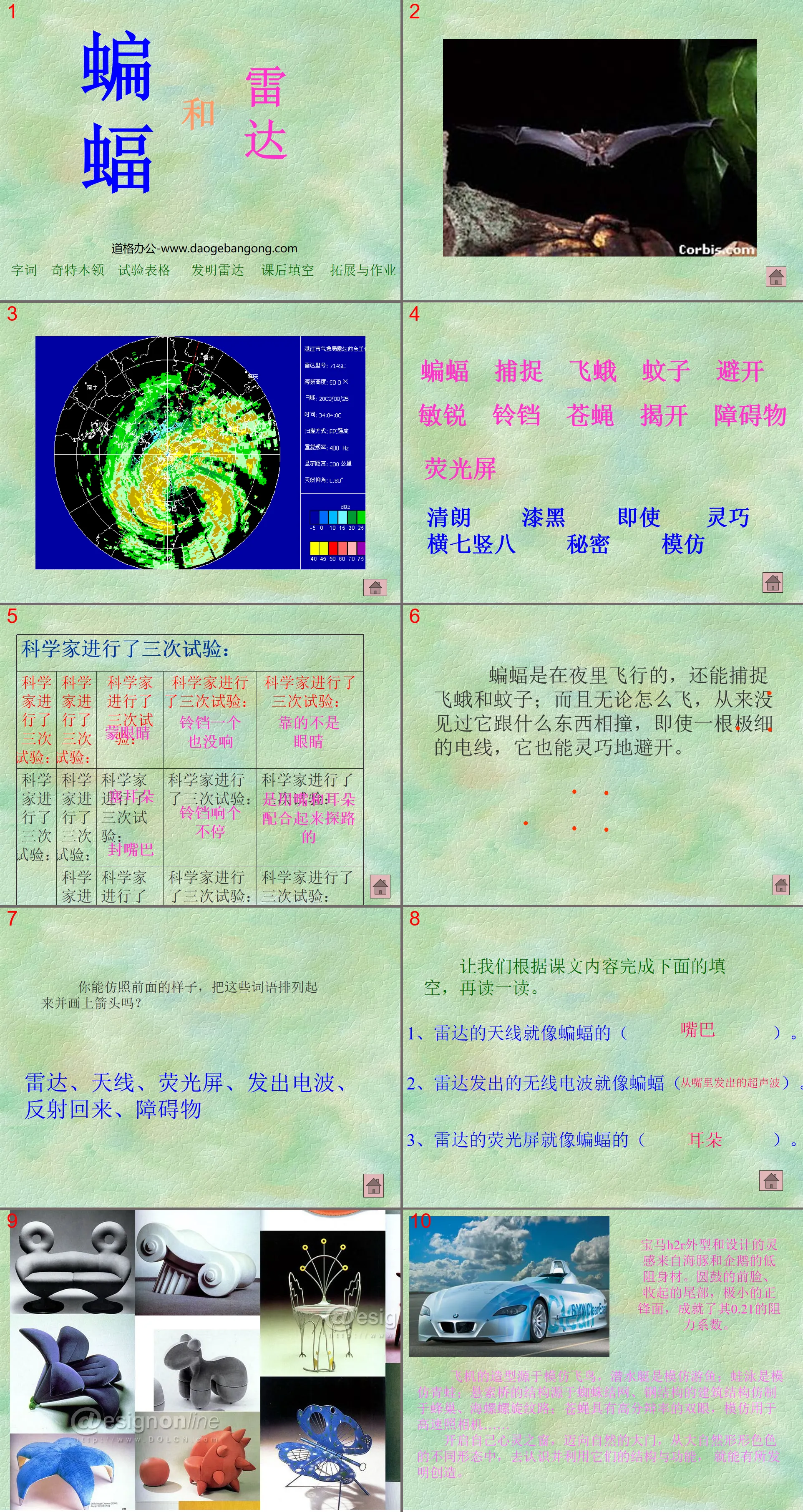 《蝙蝠與雷達》PPT課件2