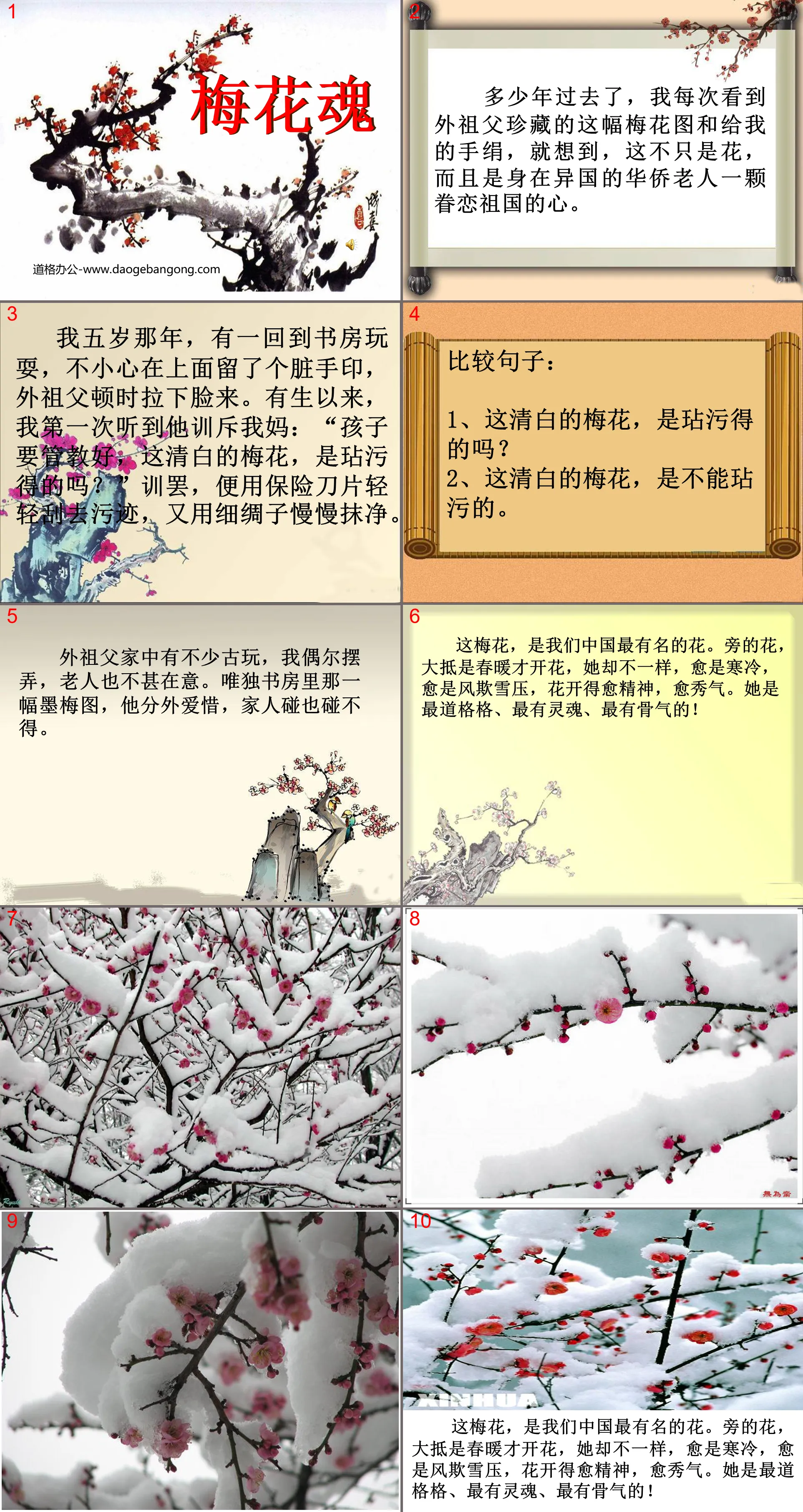 《梅花魂》PPT课件4
