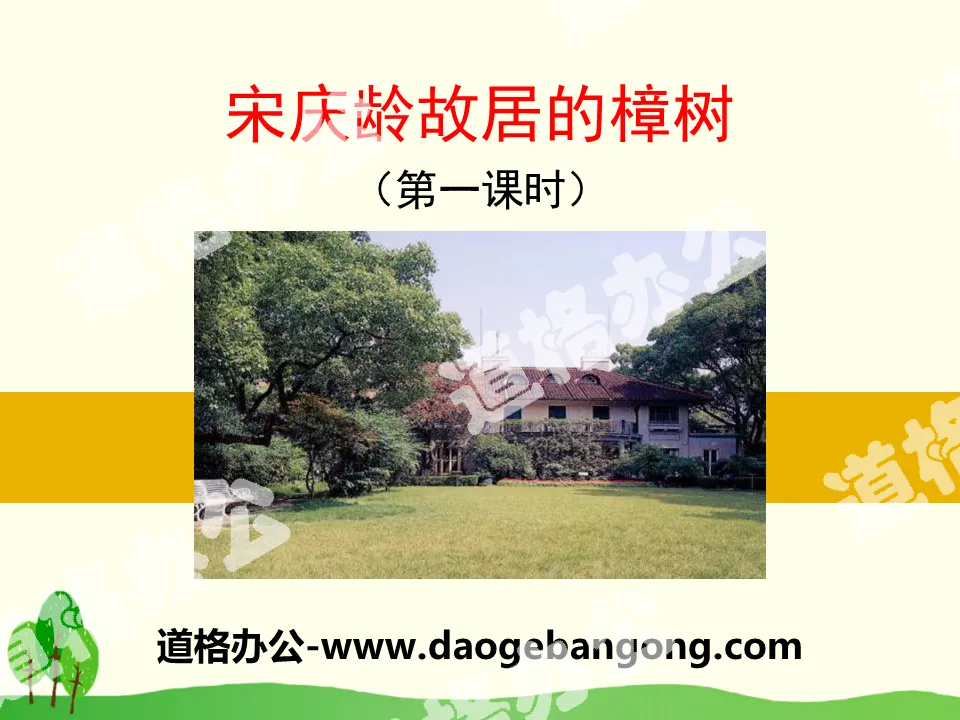 "Camphor Tree at Soong Ching Ling's Former Residence" PPT