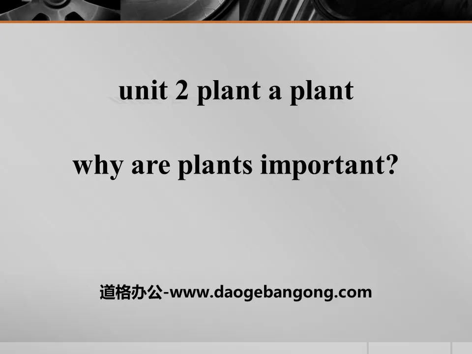 《Why Are Plants Important?》Plant a Plant PPT免费下载
