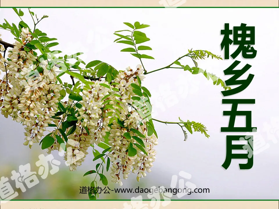 "May in Huaixiang" PPT courseware 5
