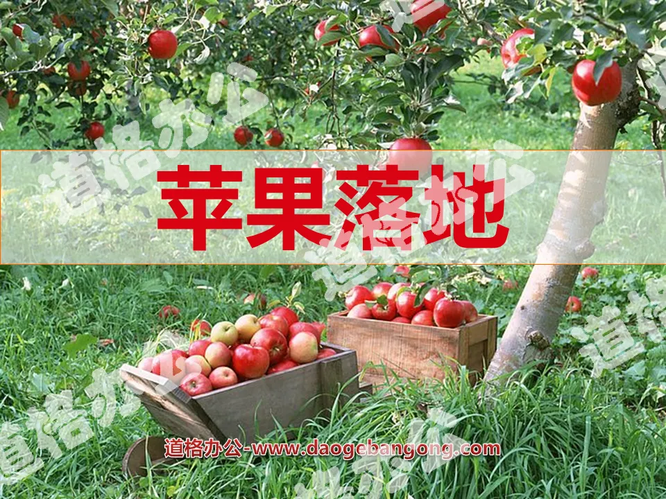 "Apple Falling to the Ground" PPT Courseware 2