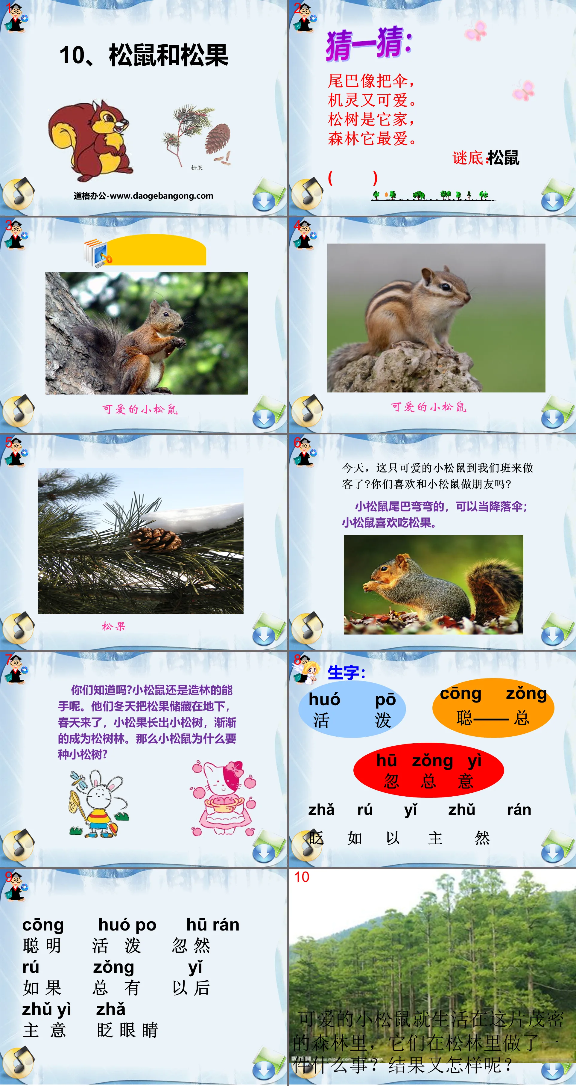 "Squirrel and Pine Cone" PPT Courseware 9