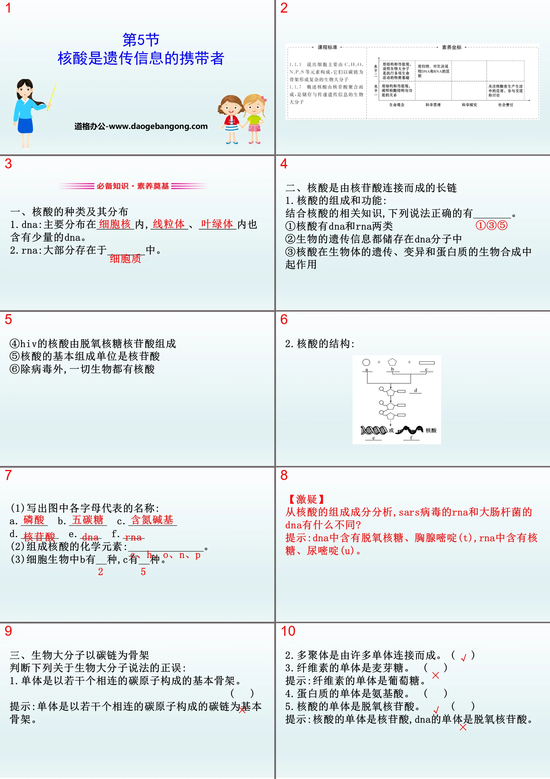 《核酸是遺傳訊息的攜帶者》組成細胞的分子PPT課件