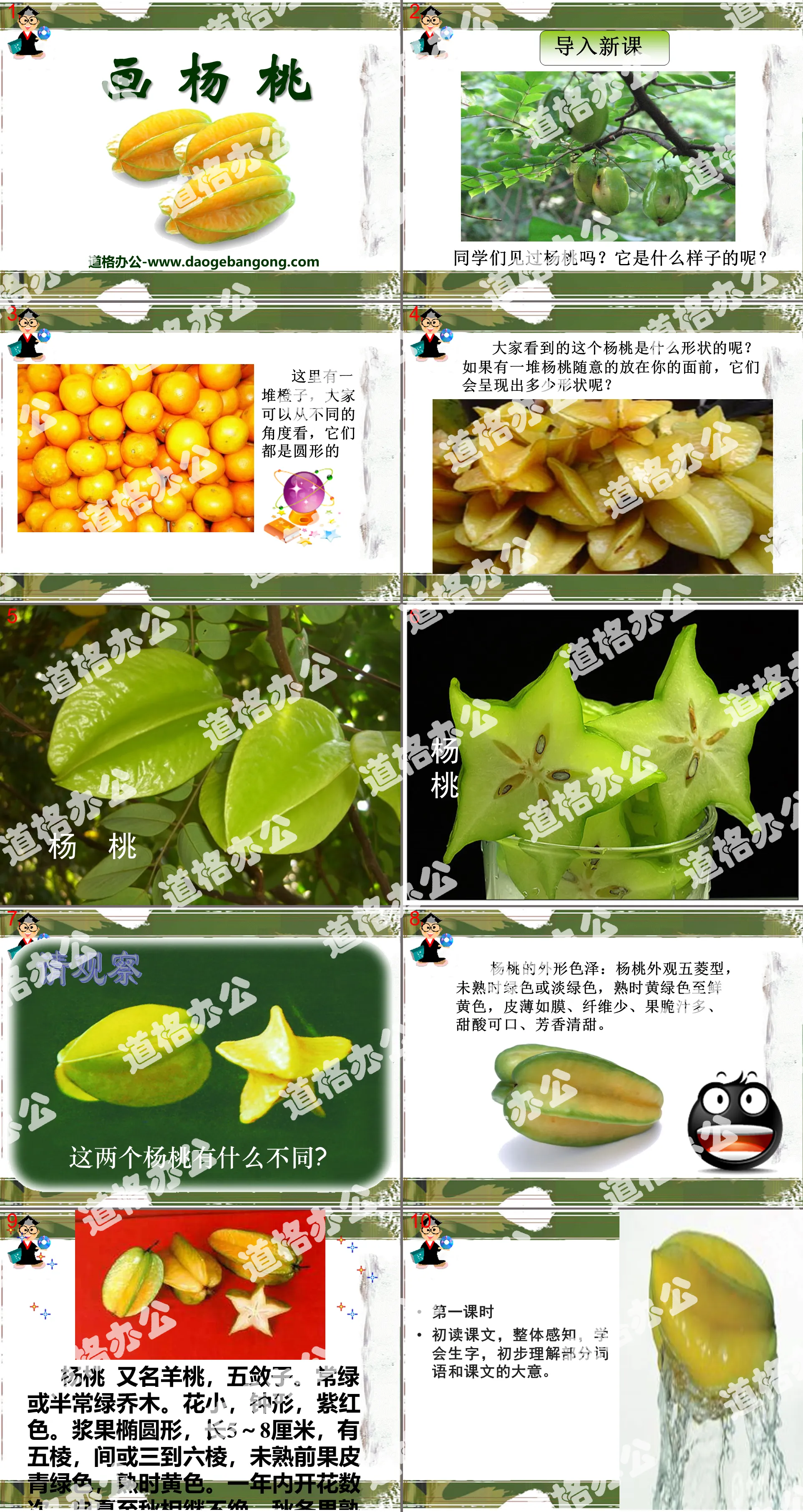 "Drawing Star Fruit" PPT Courseware 8