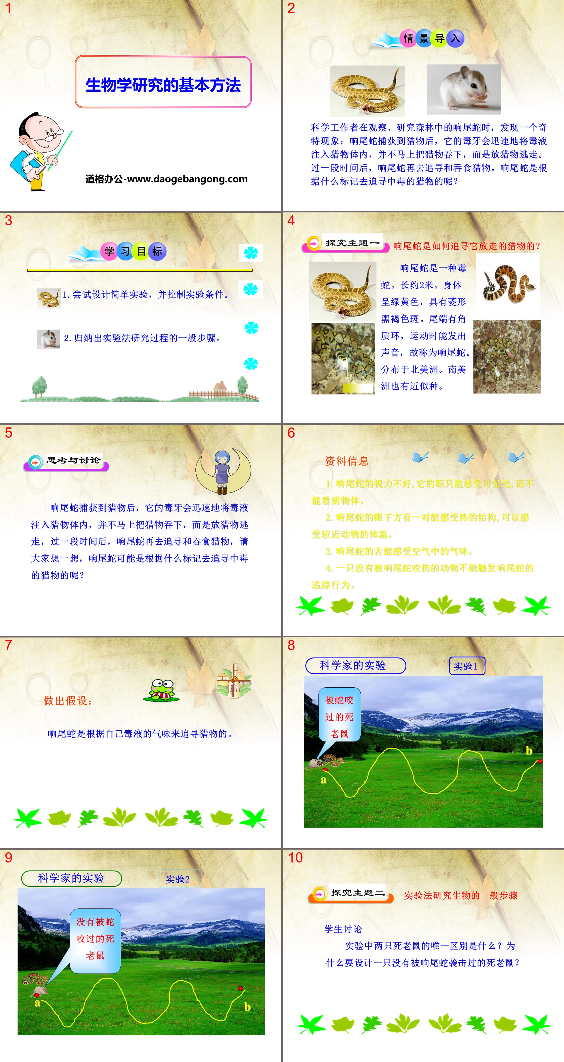 《生物学研究的基本方法》PPT
