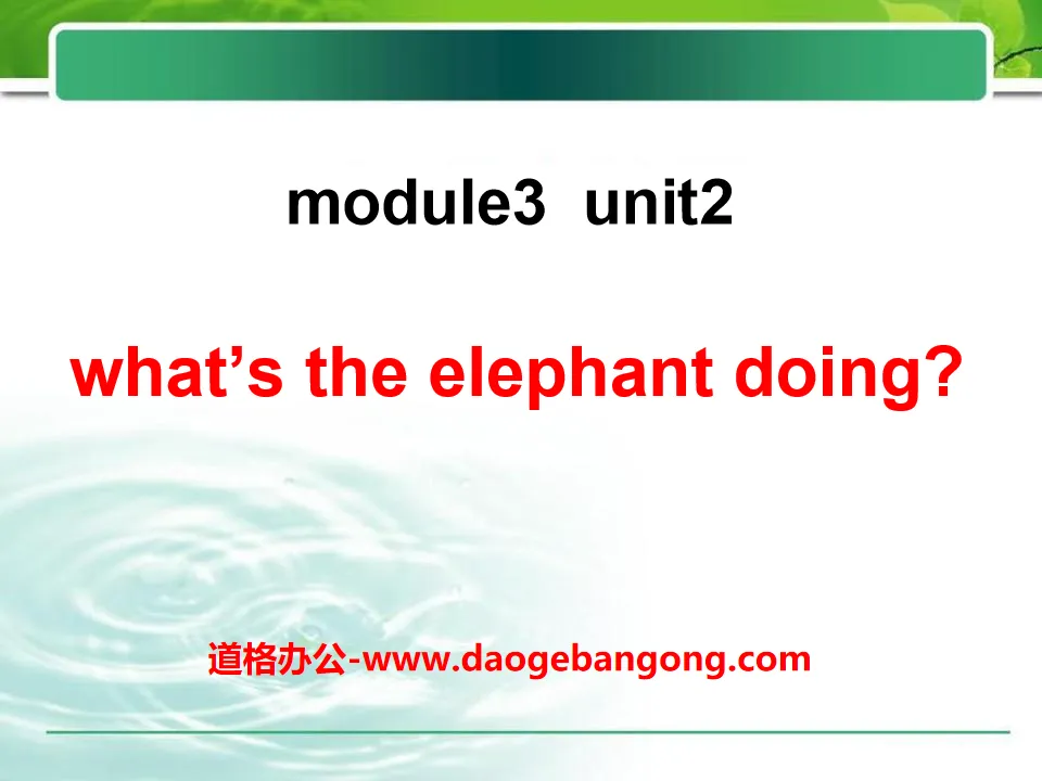 《What's the elephant doing?》PPT课件2
