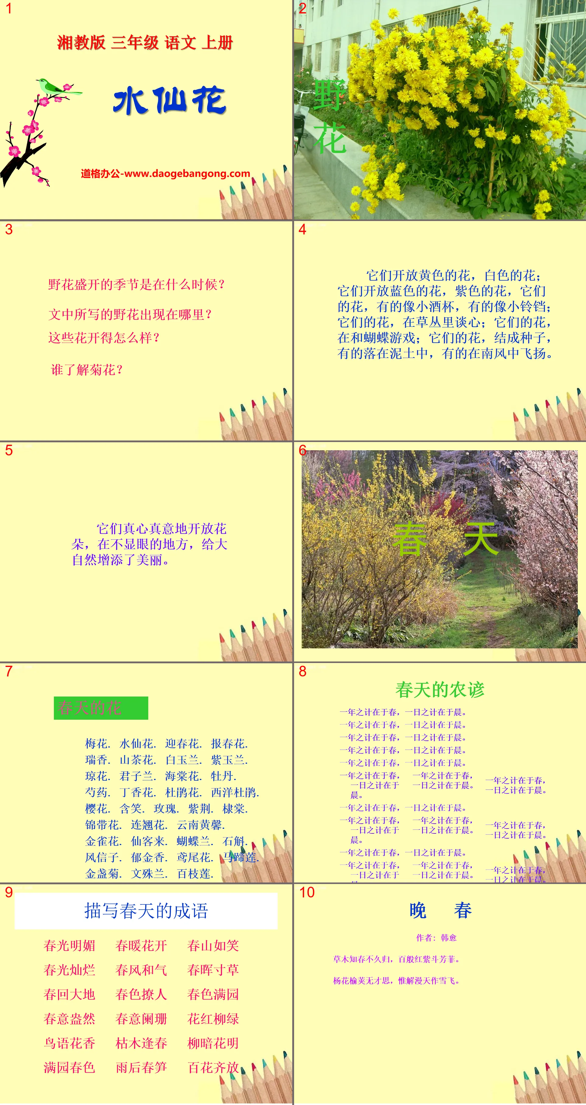 《水仙花》PPT課件2