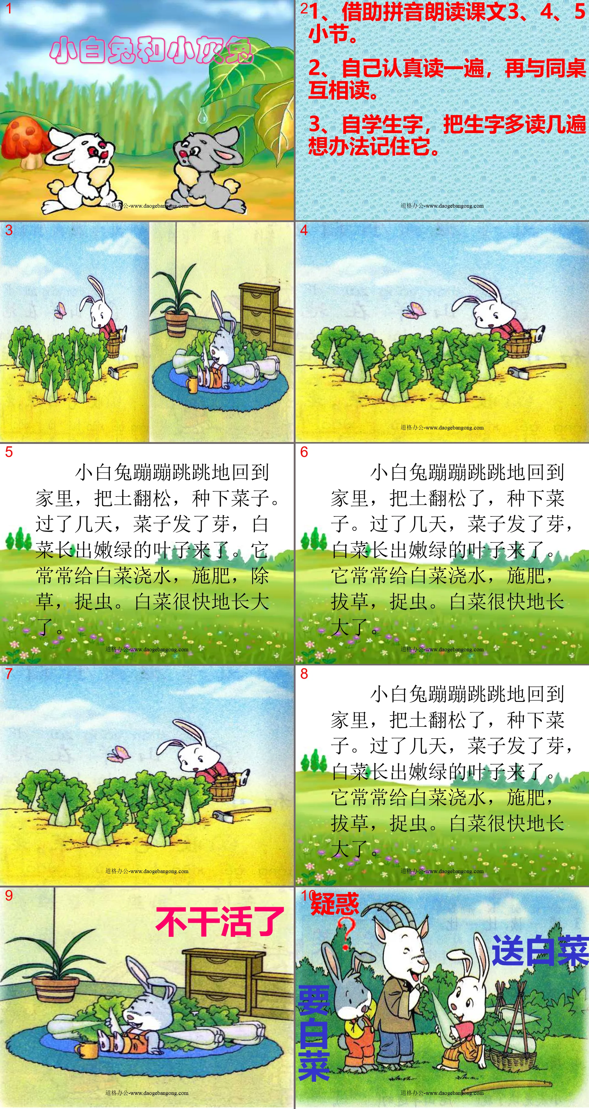 《小白兔和小灰兔》PPT课件