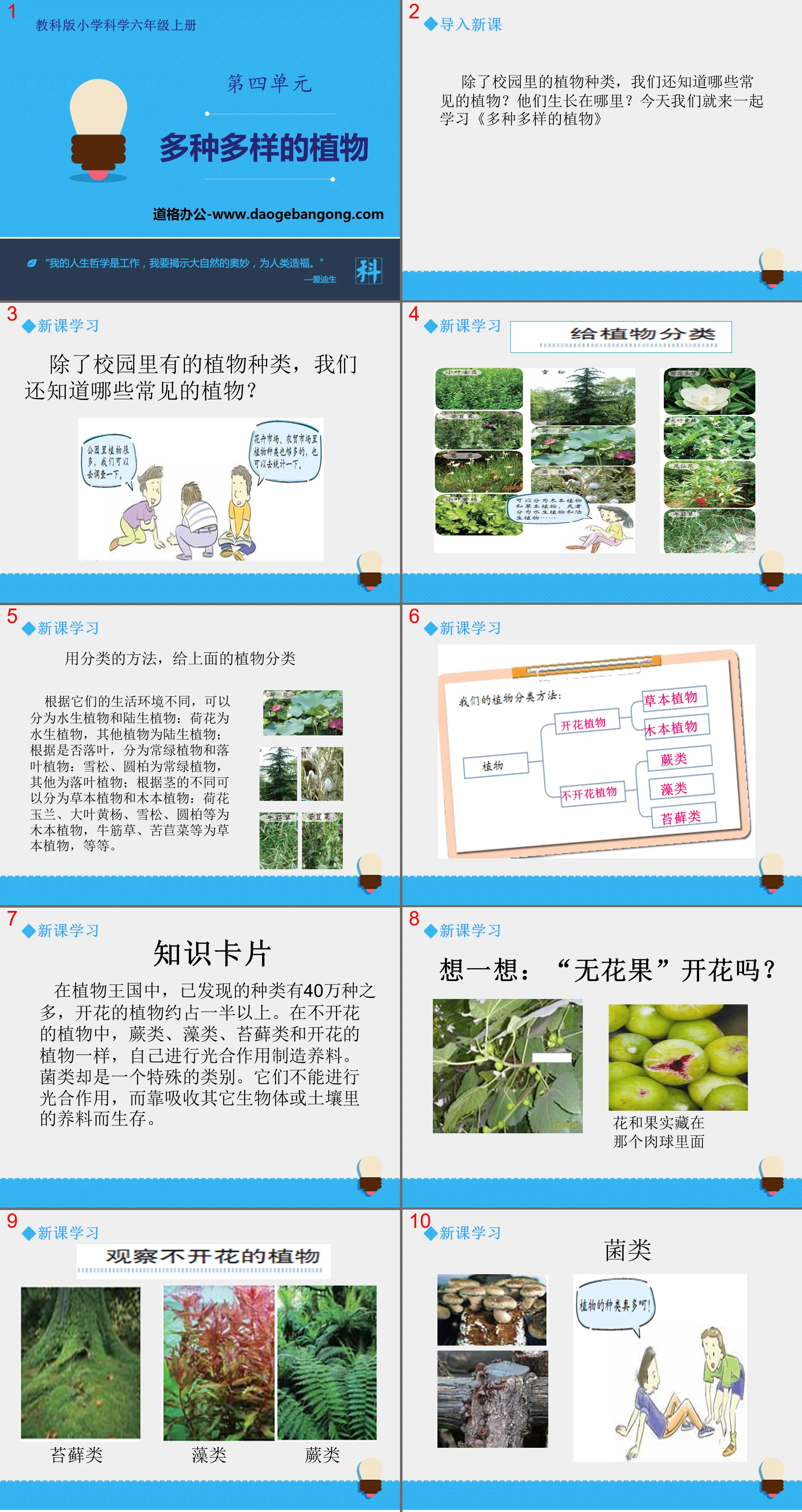 "Various Plants" Biological Diversity PPT Teaching Courseware