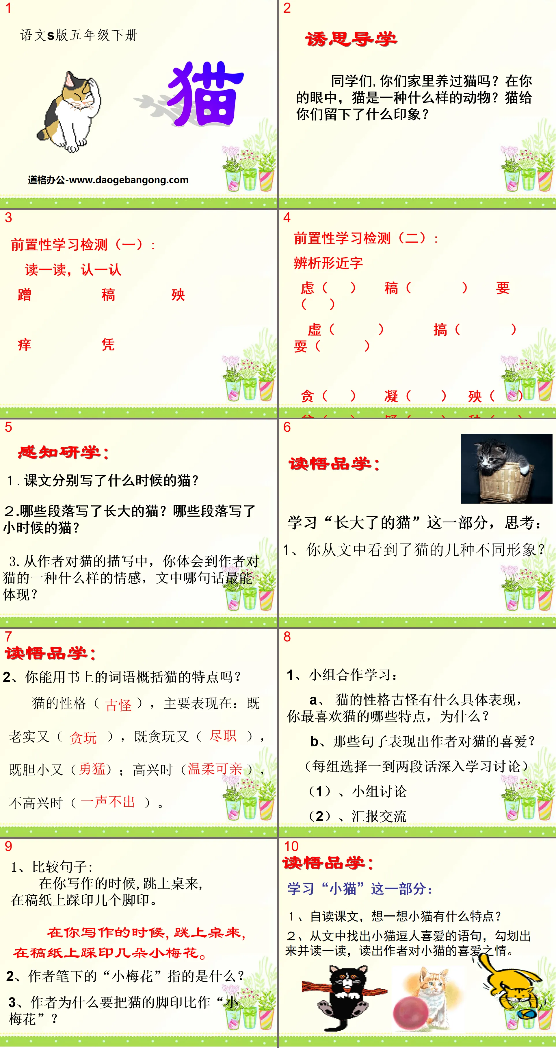 《猫》PPT课件8
