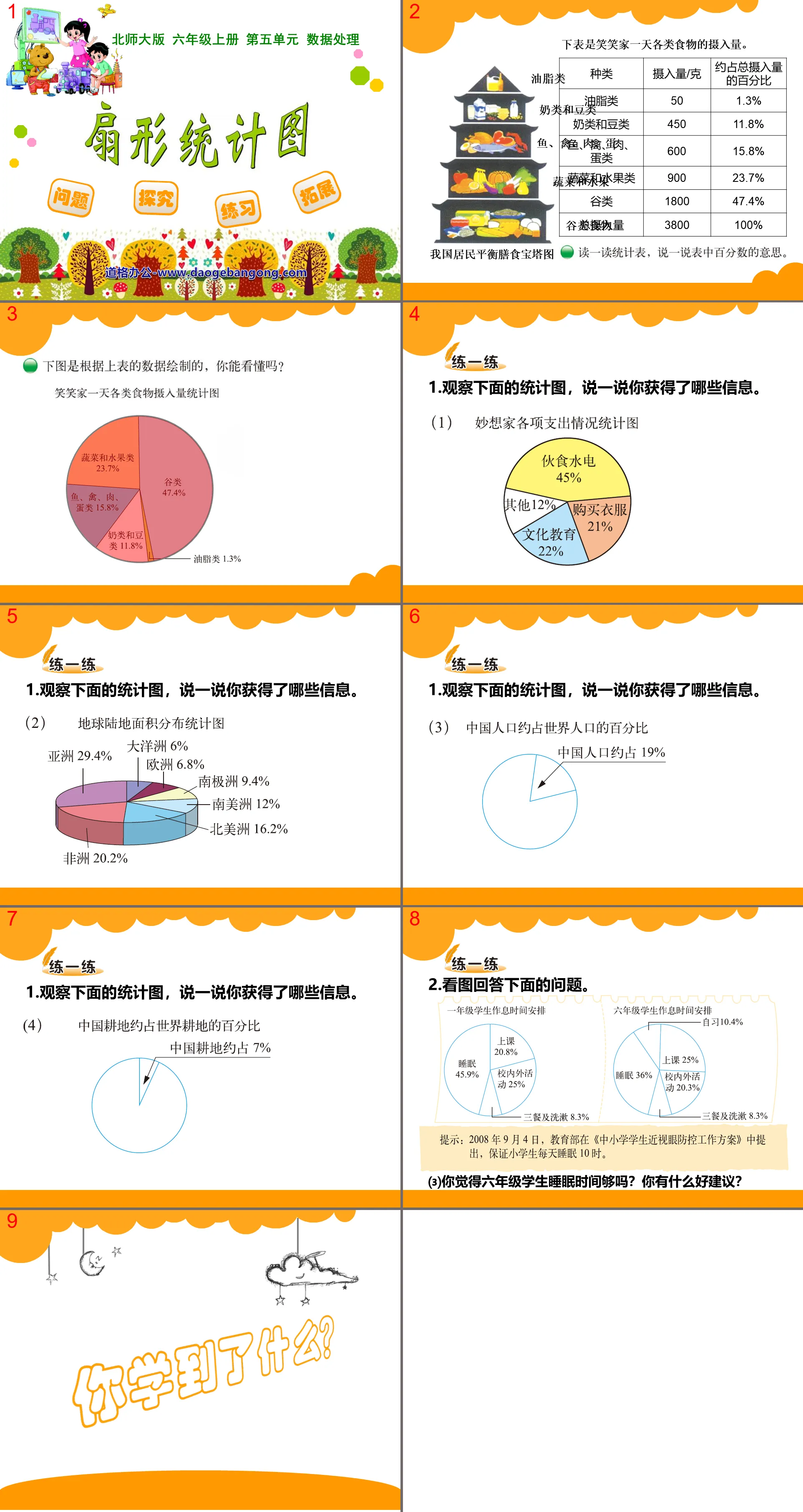 "Sector Chart" Data Processing PPT Courseware