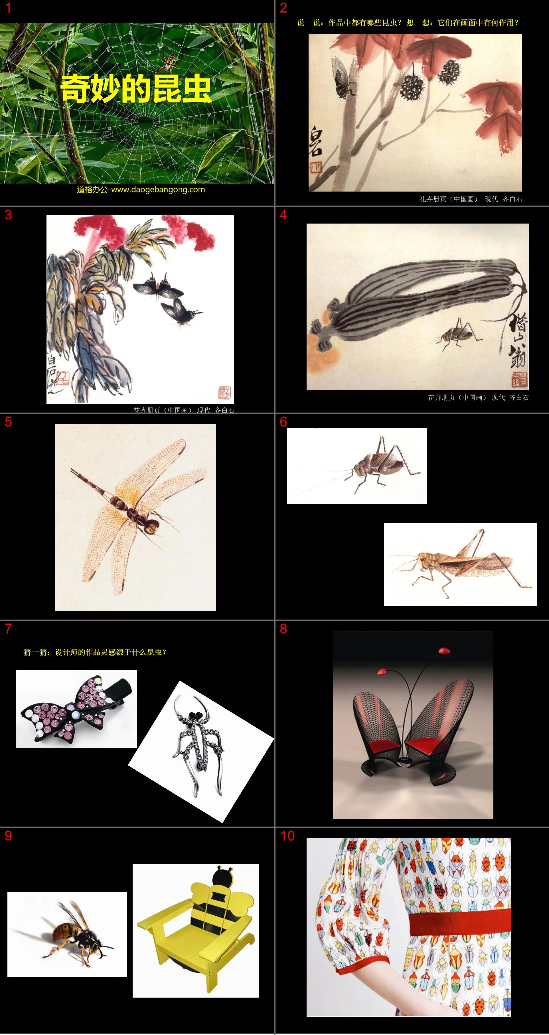 "Wonderful Insects" PPT courseware