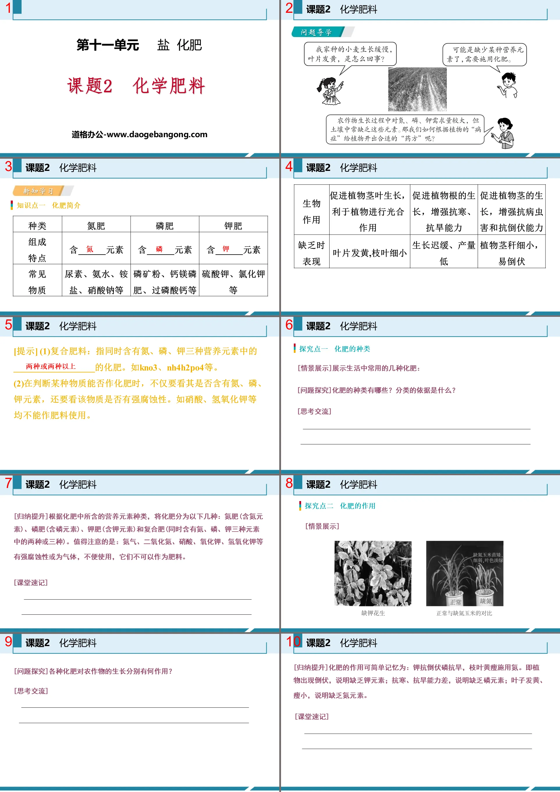 《化学肥料》盐化肥PPT教学课件