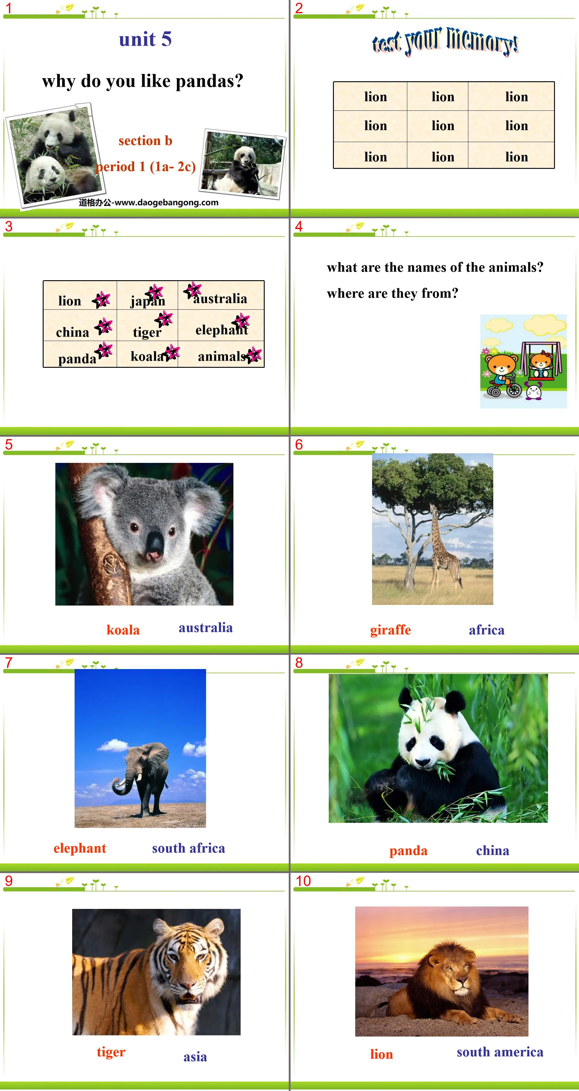 "Why do you like pandas?" PPT courseware 5