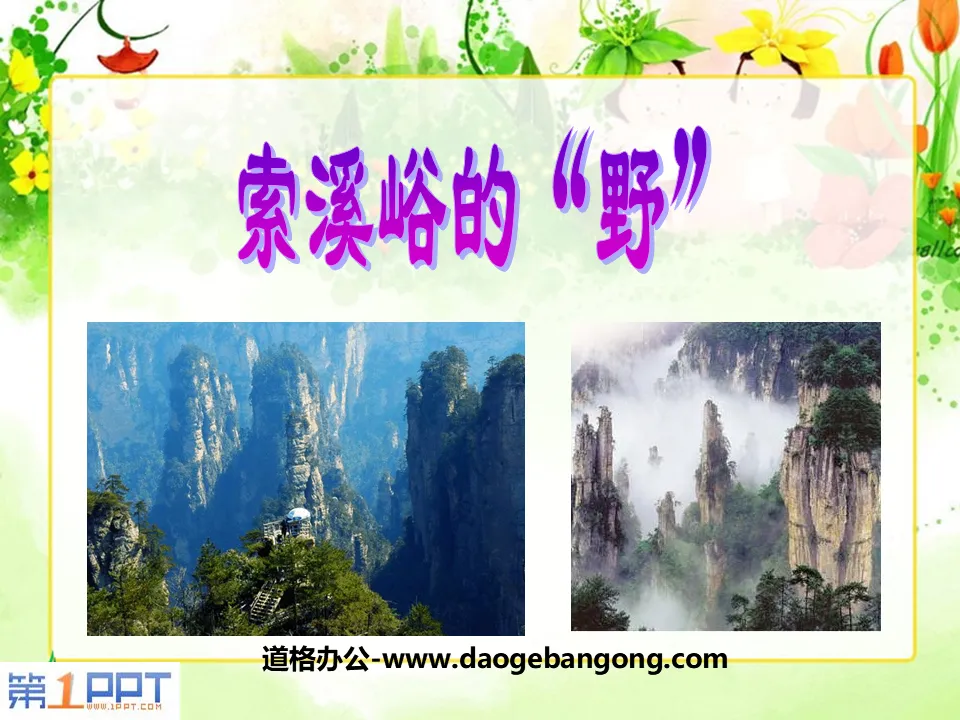 "The "Wildness" of Suoxiyu" PPT courseware download 7