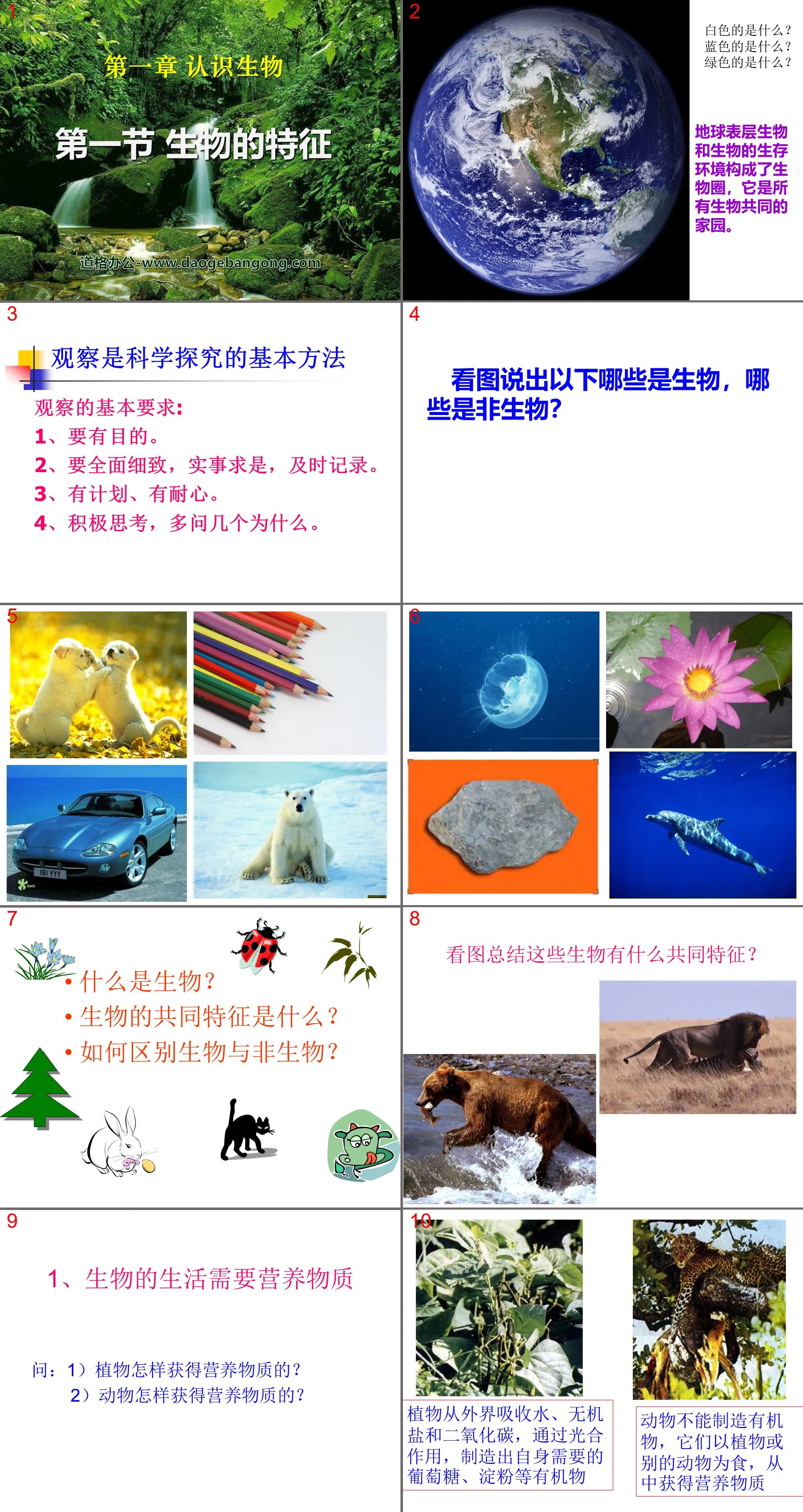 《生物的特徵》認識生物PPT課件