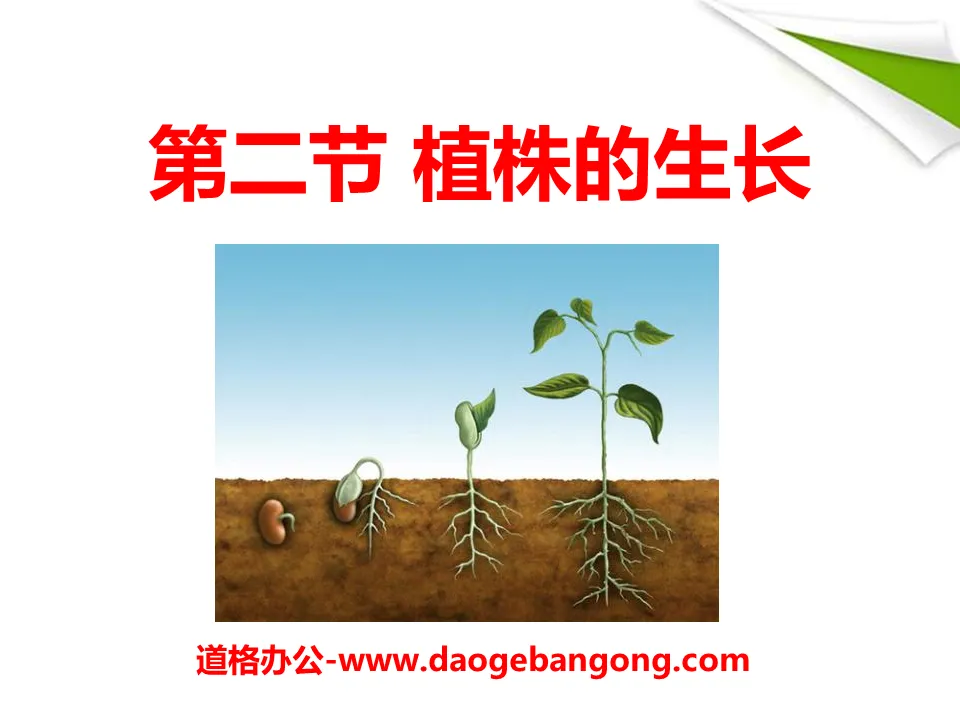 "The Growth of Plants" Life of Angiosperms PPT Courseware 3