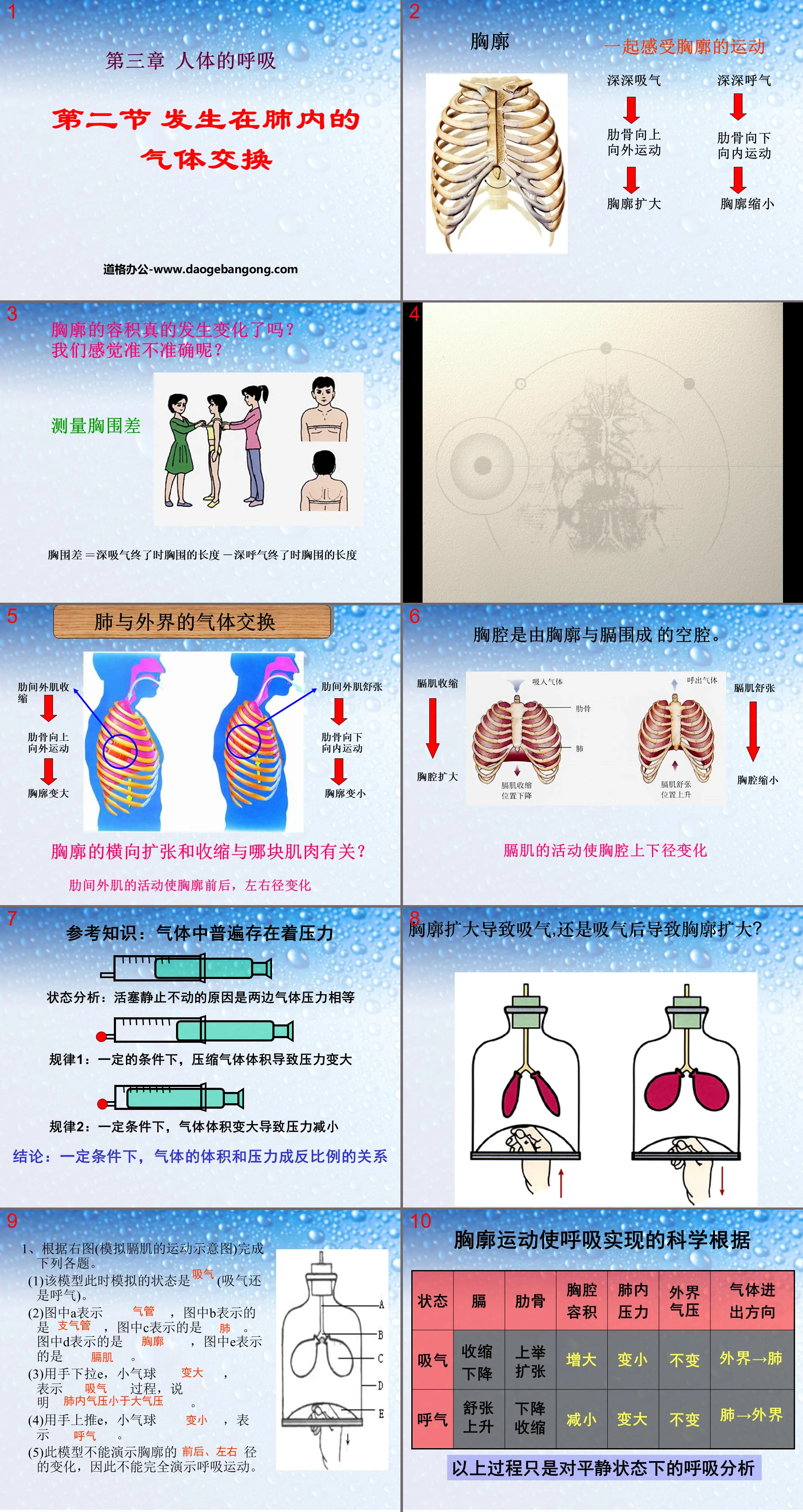 《發生在肺部的氣體交換》人體的呼吸PPT課程