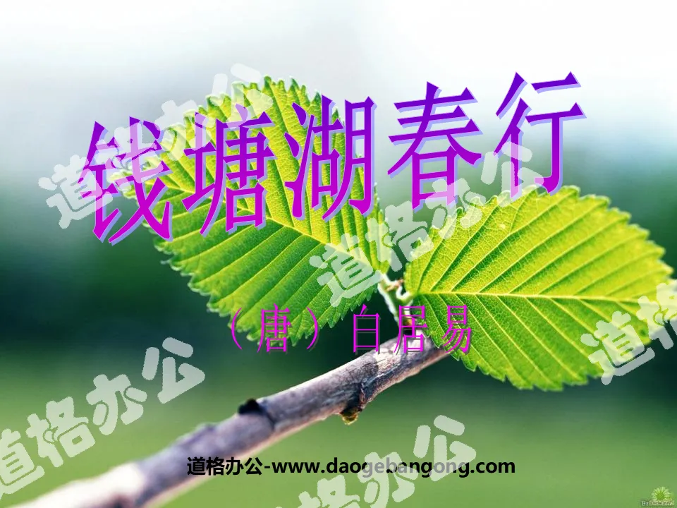 "Spring Trip to Qiantang Lake" PPT Courseware 3