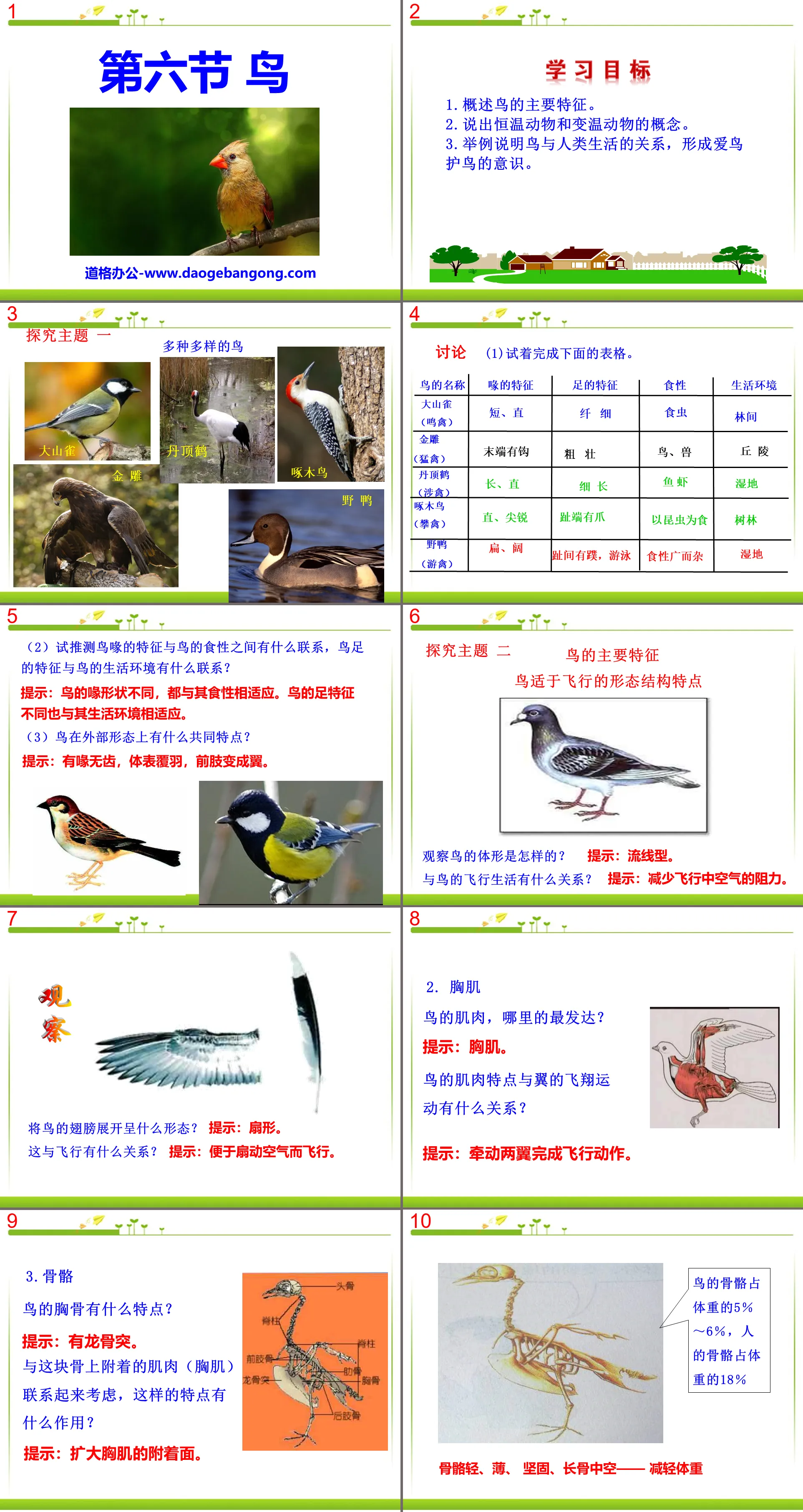 《鸟》动物的主要类群PPT课件4
