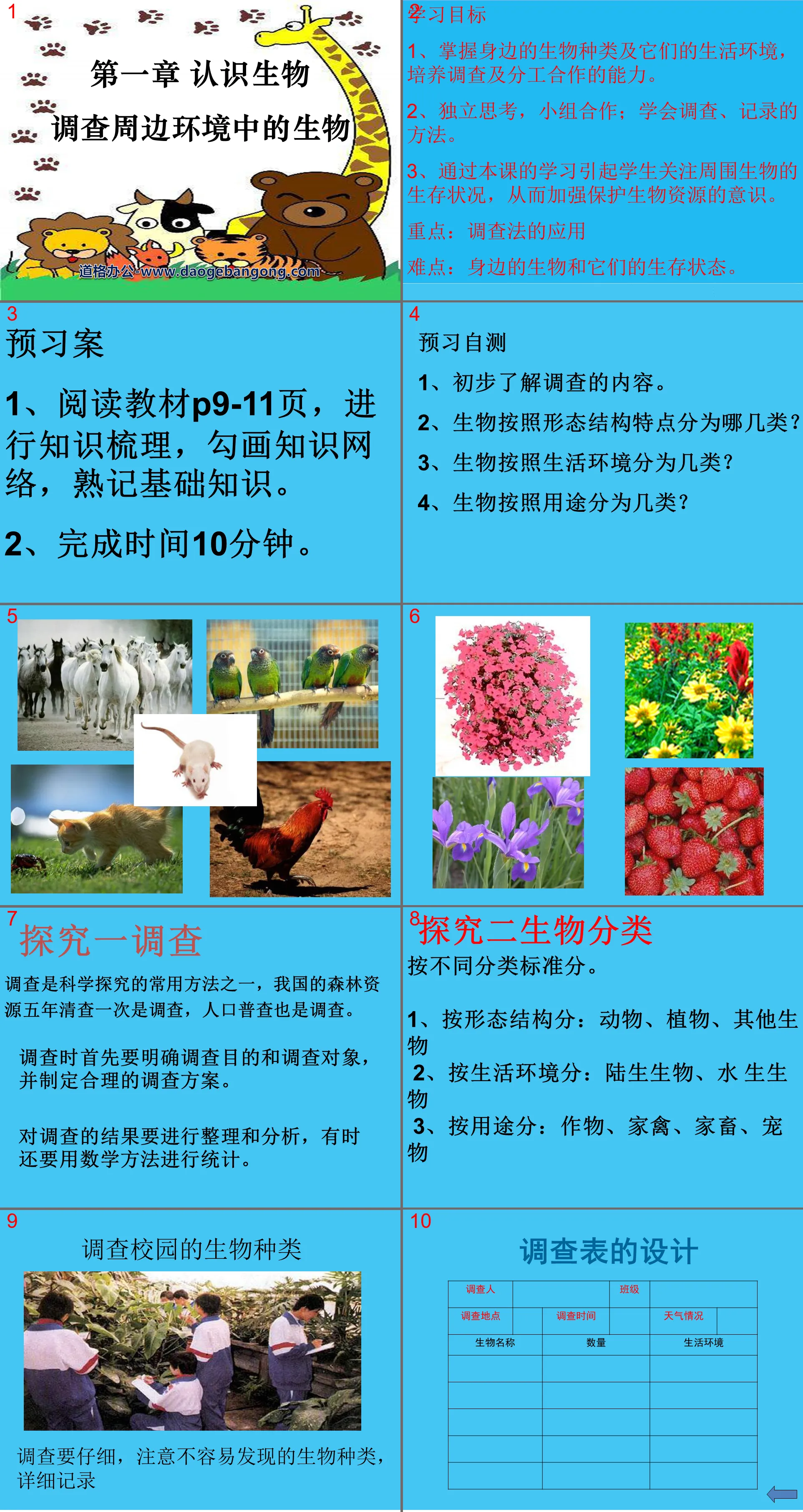 "Investigating Creatures in the Surrounding Environment" Understanding Biology PPT Courseware 7