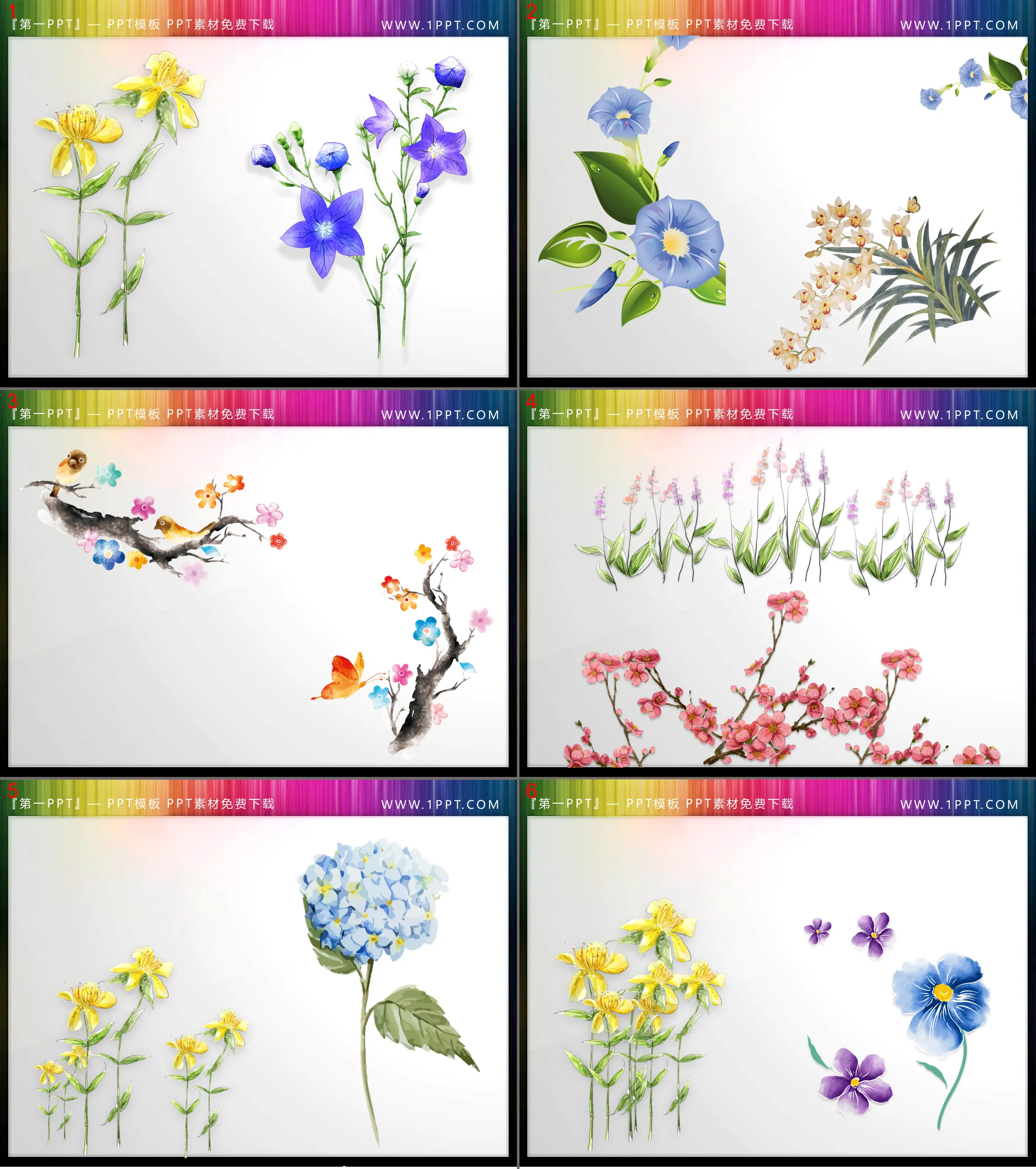 A group of beautiful watercolor flowers PPT illustrations