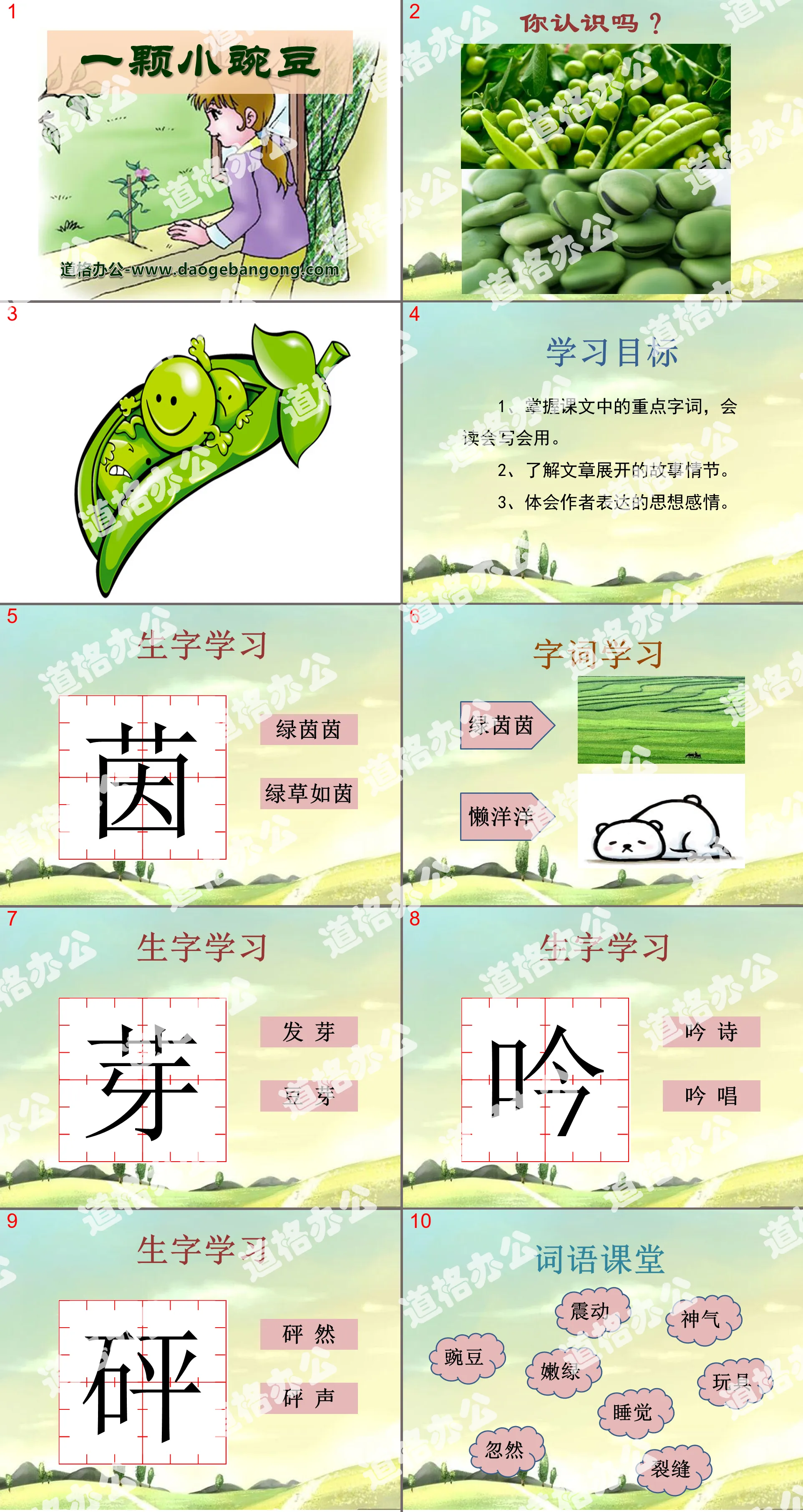 《一颗小碗豆》PPT课件2