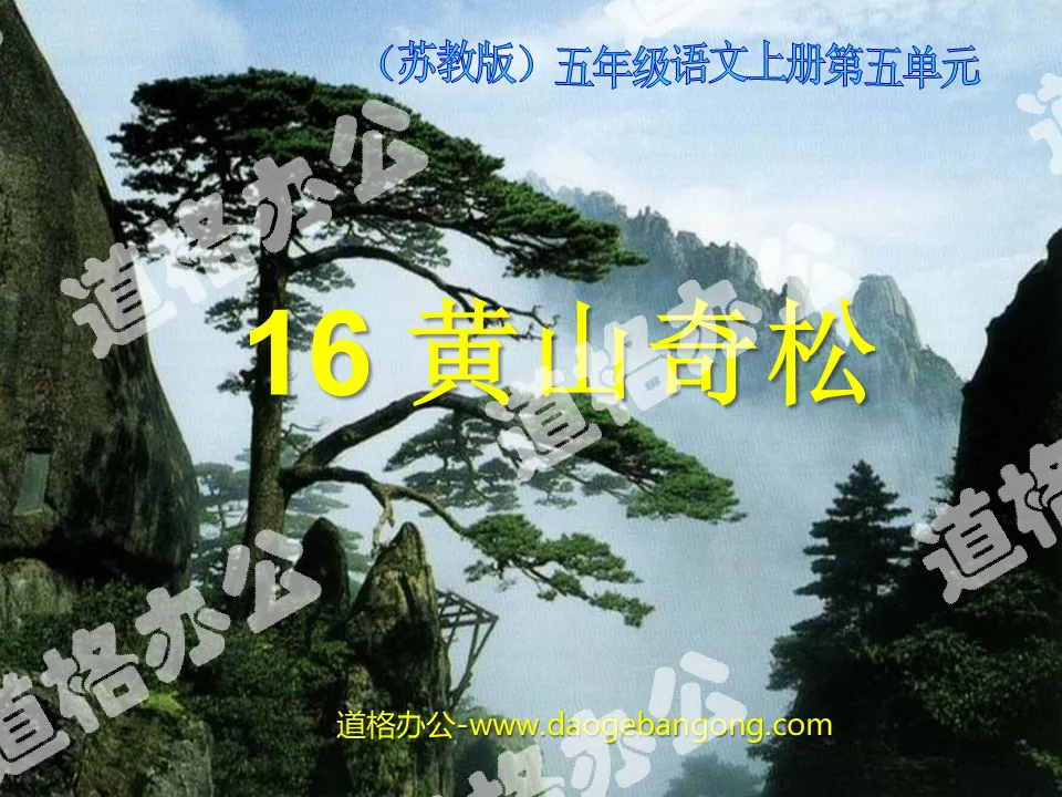 "Huangshan Wonderful Pines" PPT Courseware 2