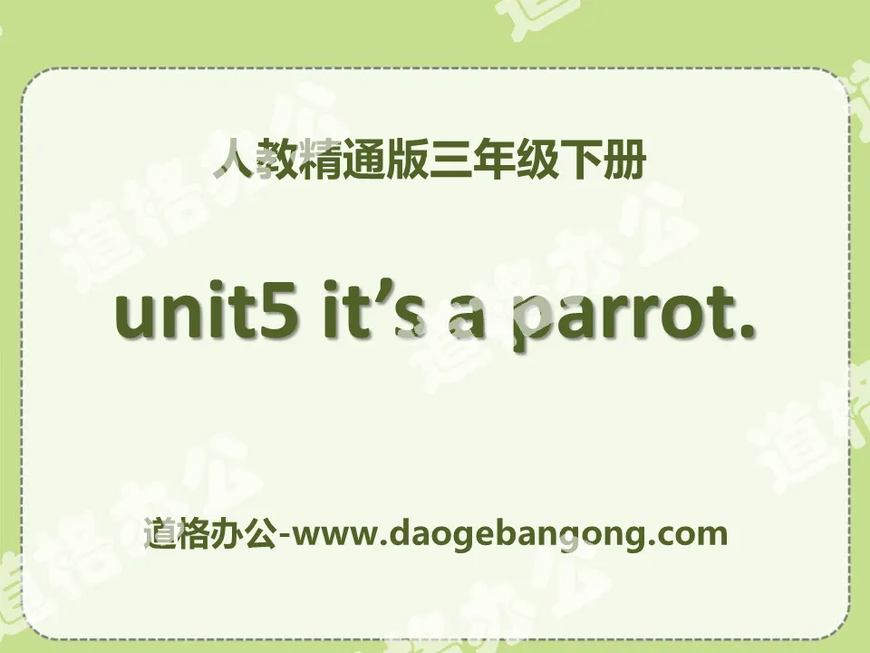 "It's a parrot" PPT courseware 5
