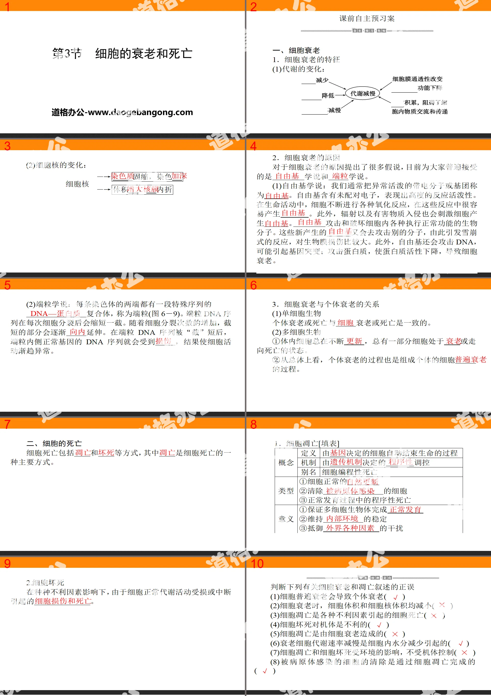 《細胞的衰老與死亡》細胞的生命歷程PPT課程