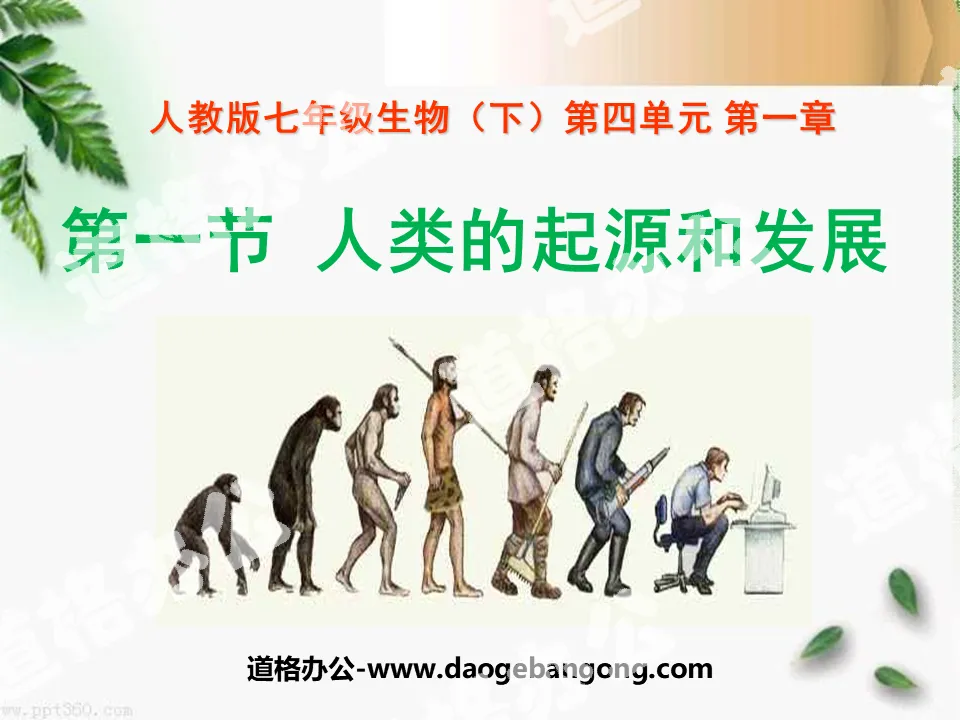 "The Origin and Development of Humanity" The Origin of Man PPT Courseware 4
