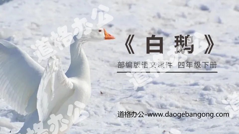 "White Goose" PPT download