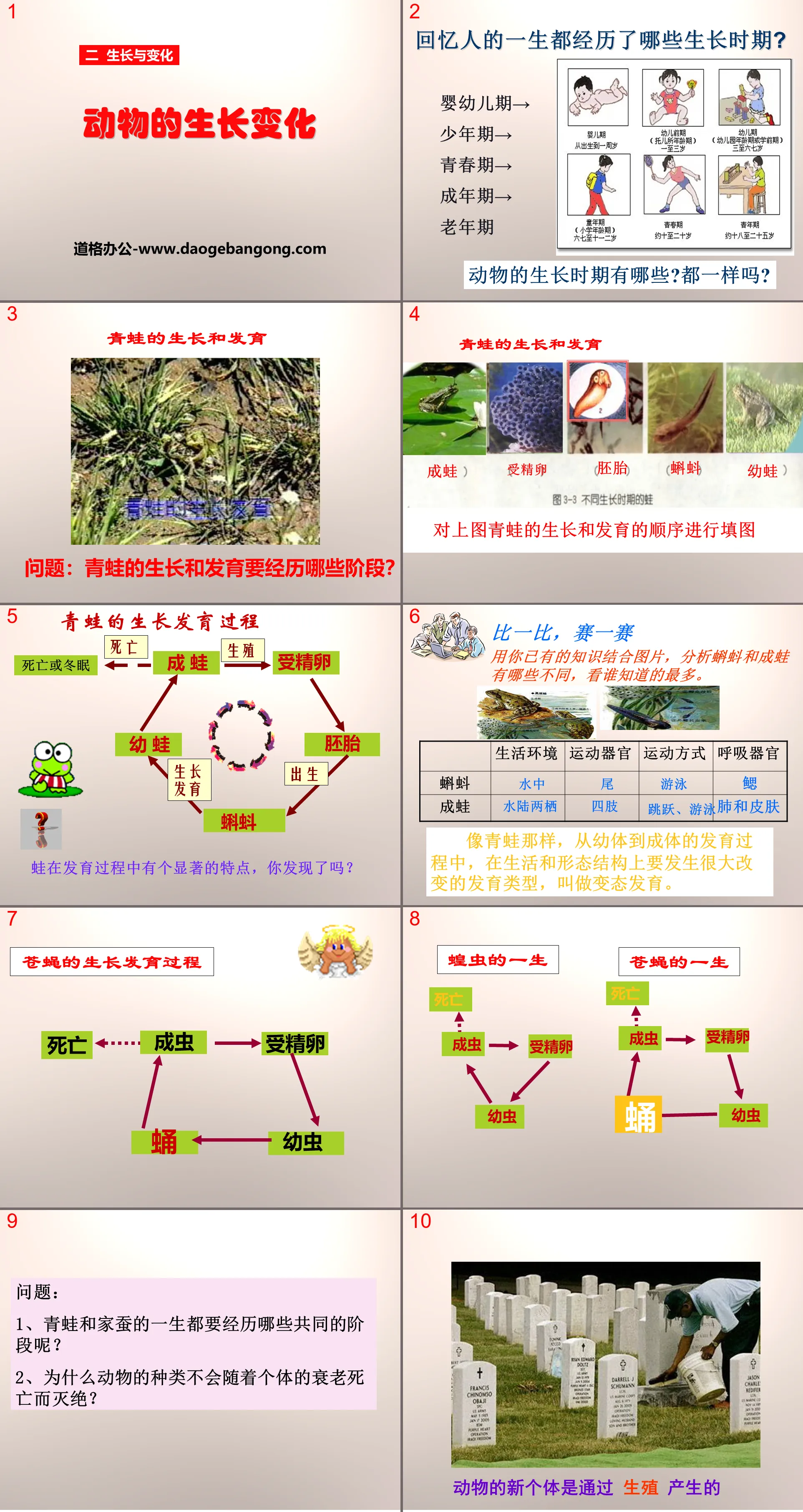 《动物的生长变化》生长与变化PPT课件
