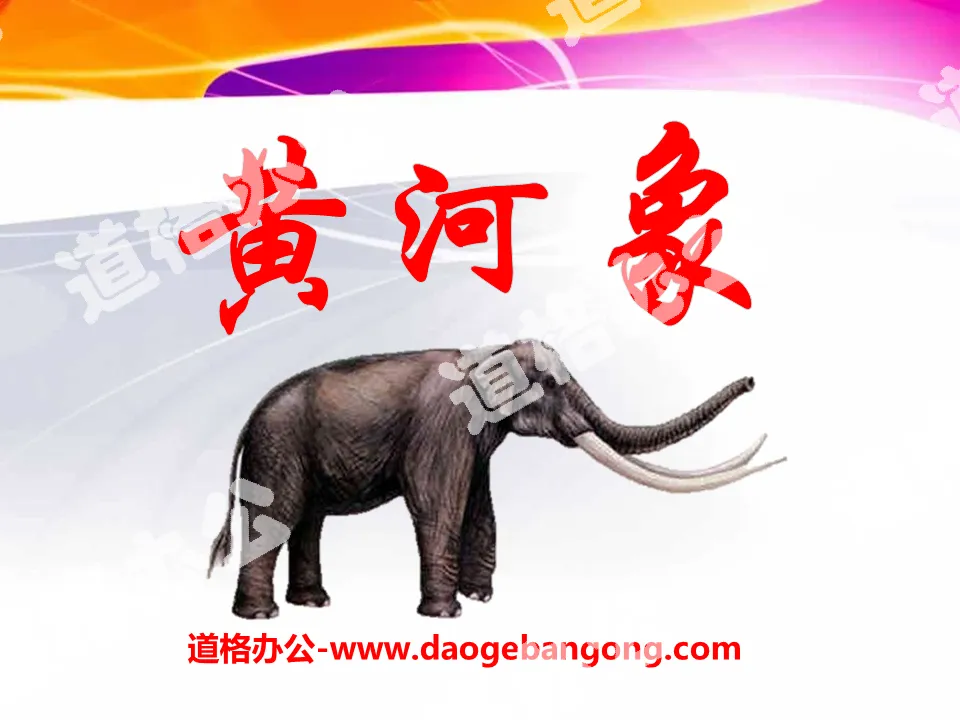 "Yellow River Elephant" PPT courseware 4