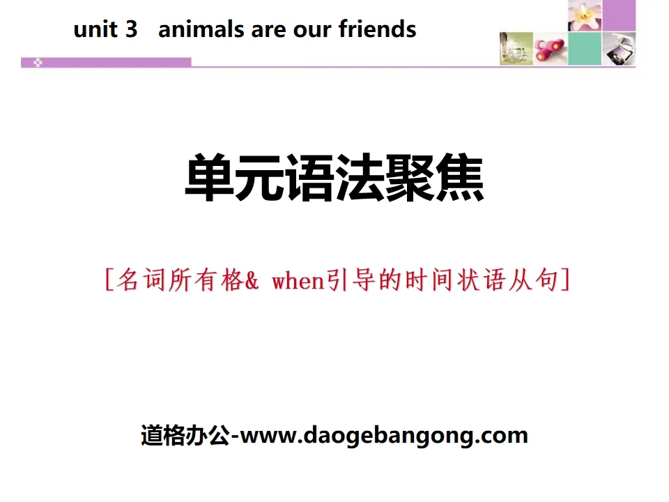 "Unit Grammar Focus" Animals Are Our Friends PPT