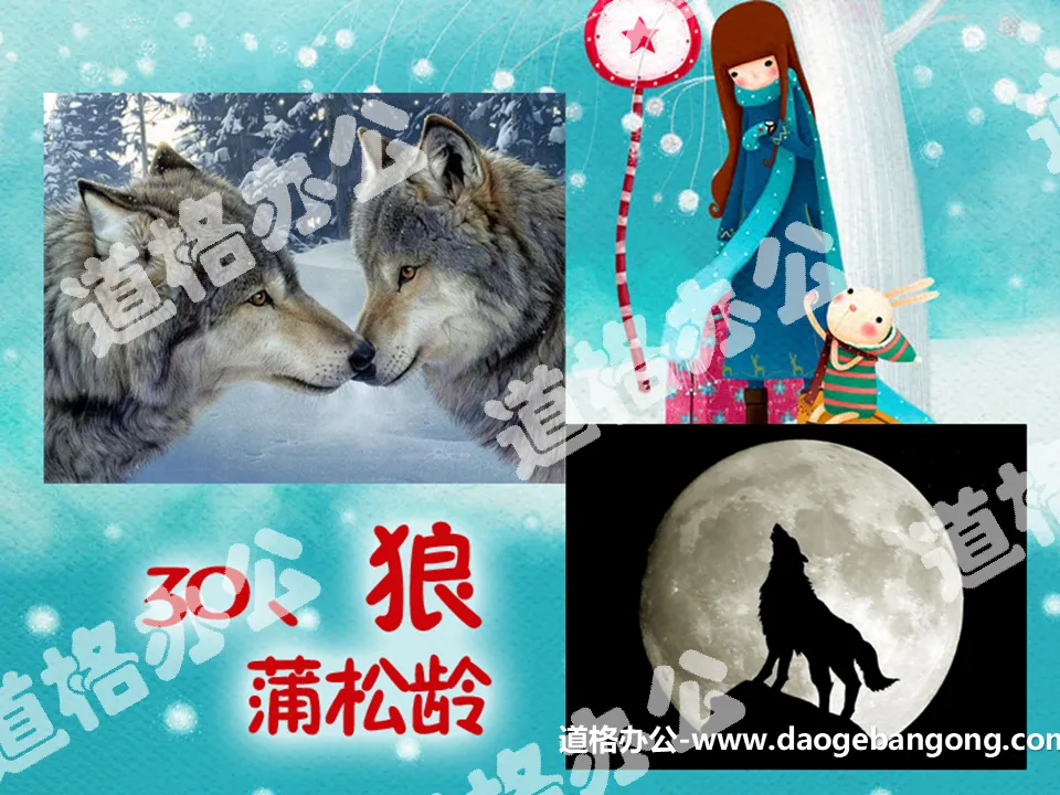 "Wolf" PPT courseware 5